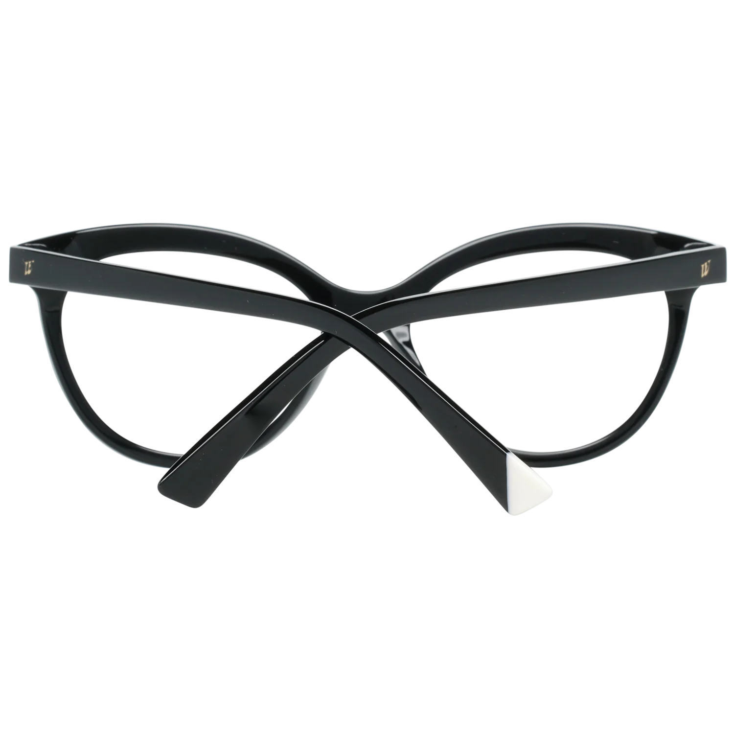 Web WE5250 51001 – von hinten