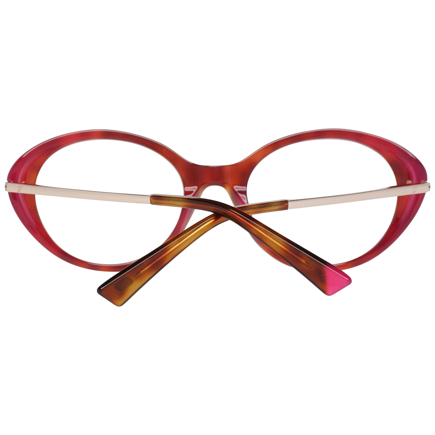 Web WE5302 5156B – von hinten