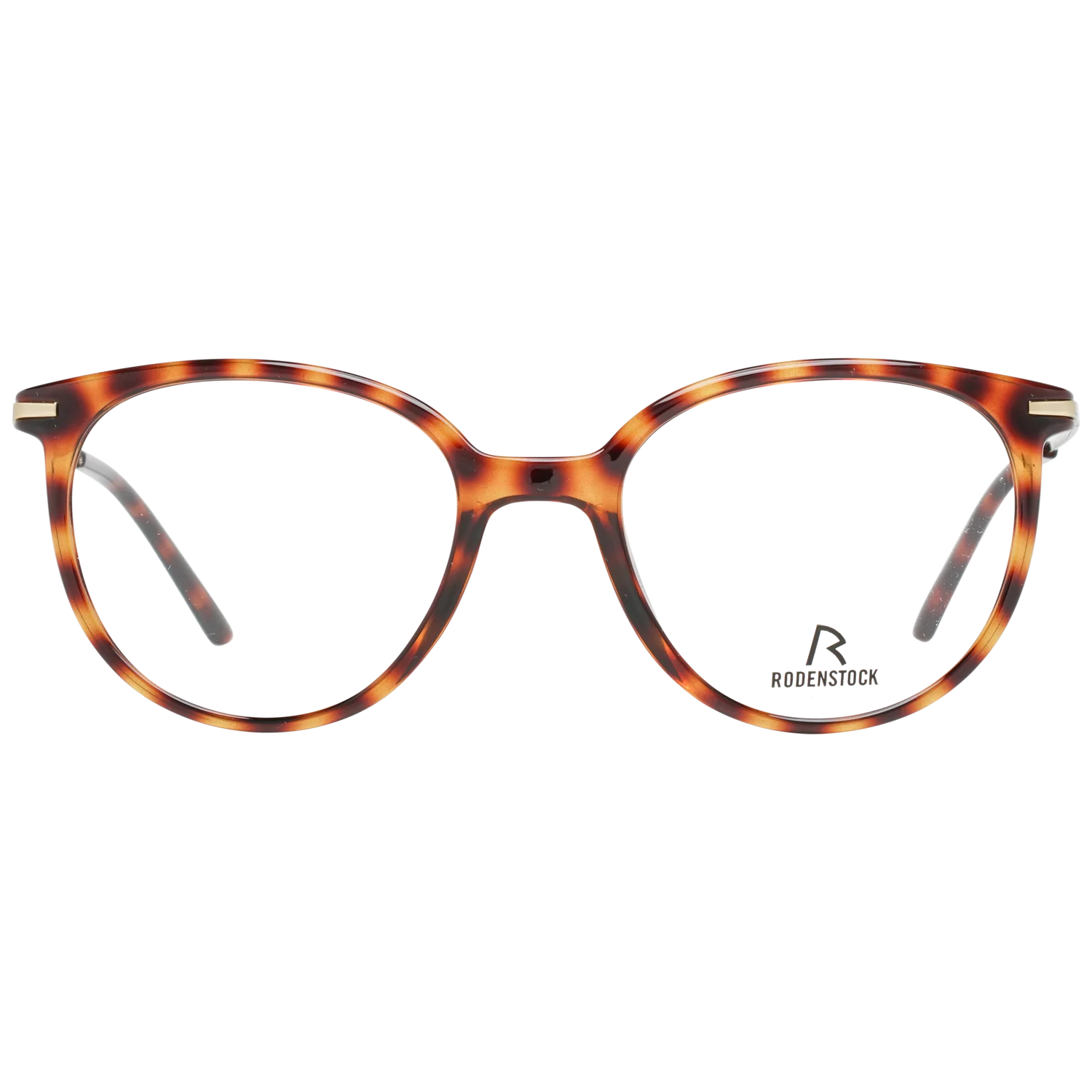 Rodenstock Brille R5312 D 49