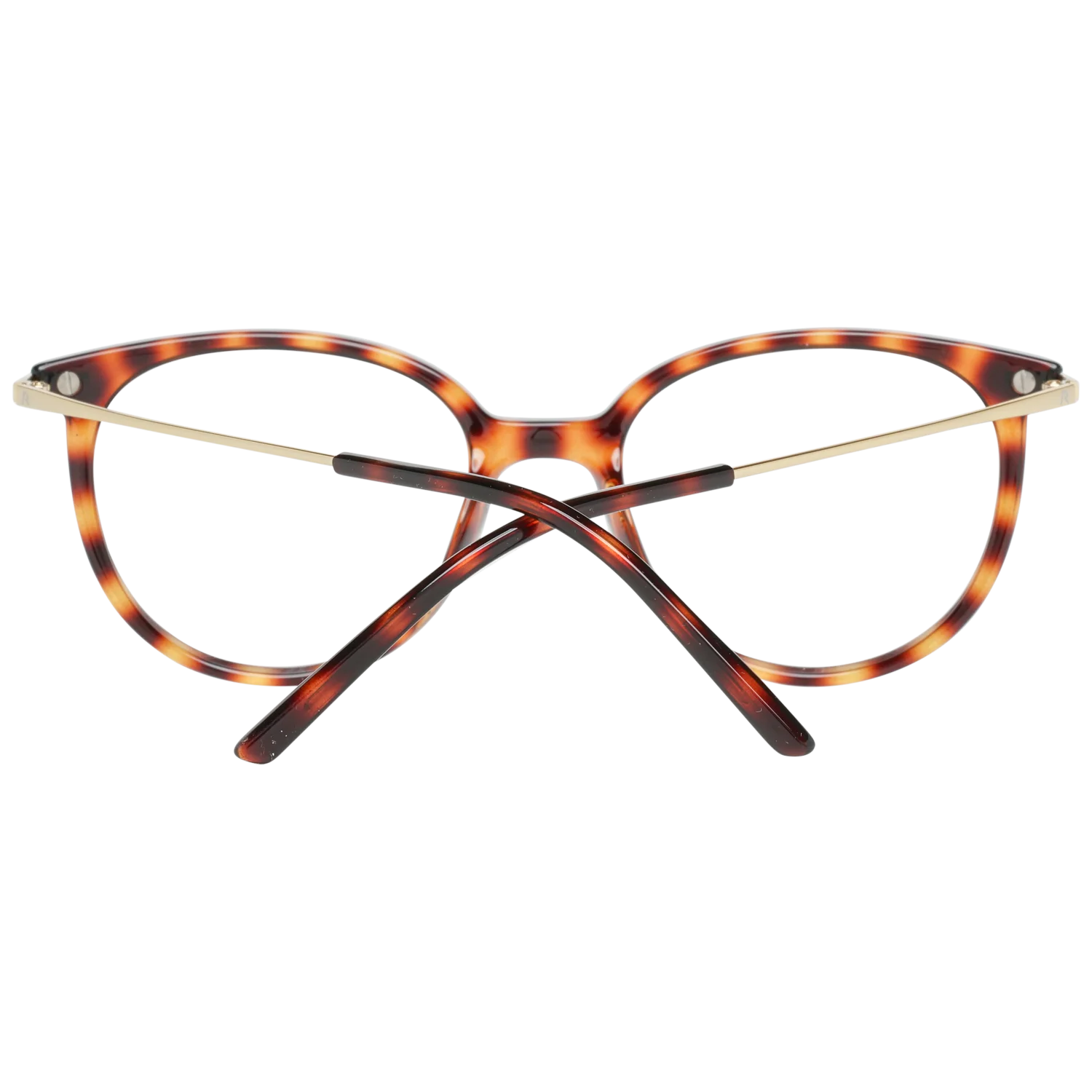 Rodenstock R5312 D 49 – von hinten