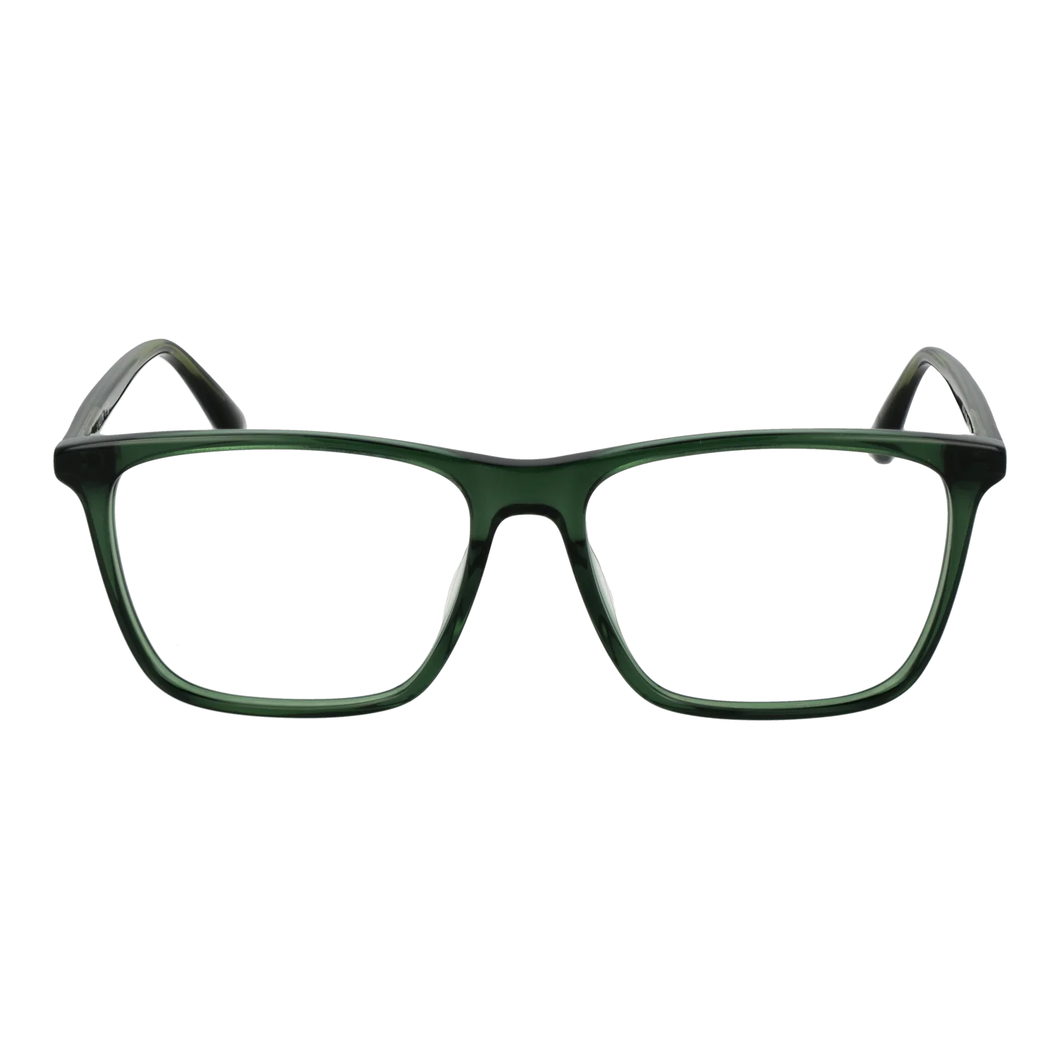 Web Brillenfassung WE5418 098 56