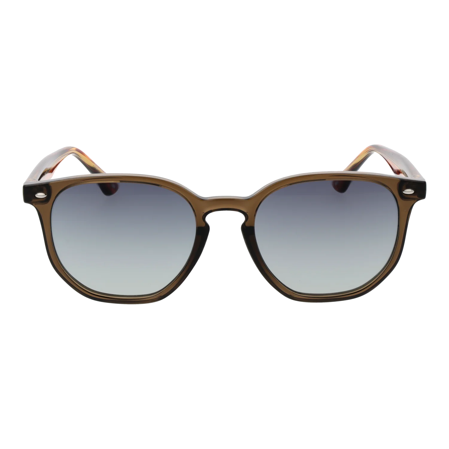 Ted Baker Sonnenbrille TB1655 949 52