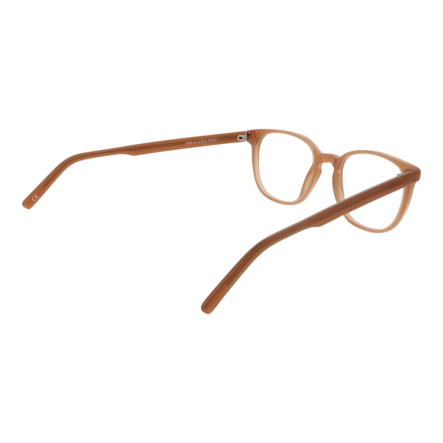 Andy Wolf 4509 50G – von hinten