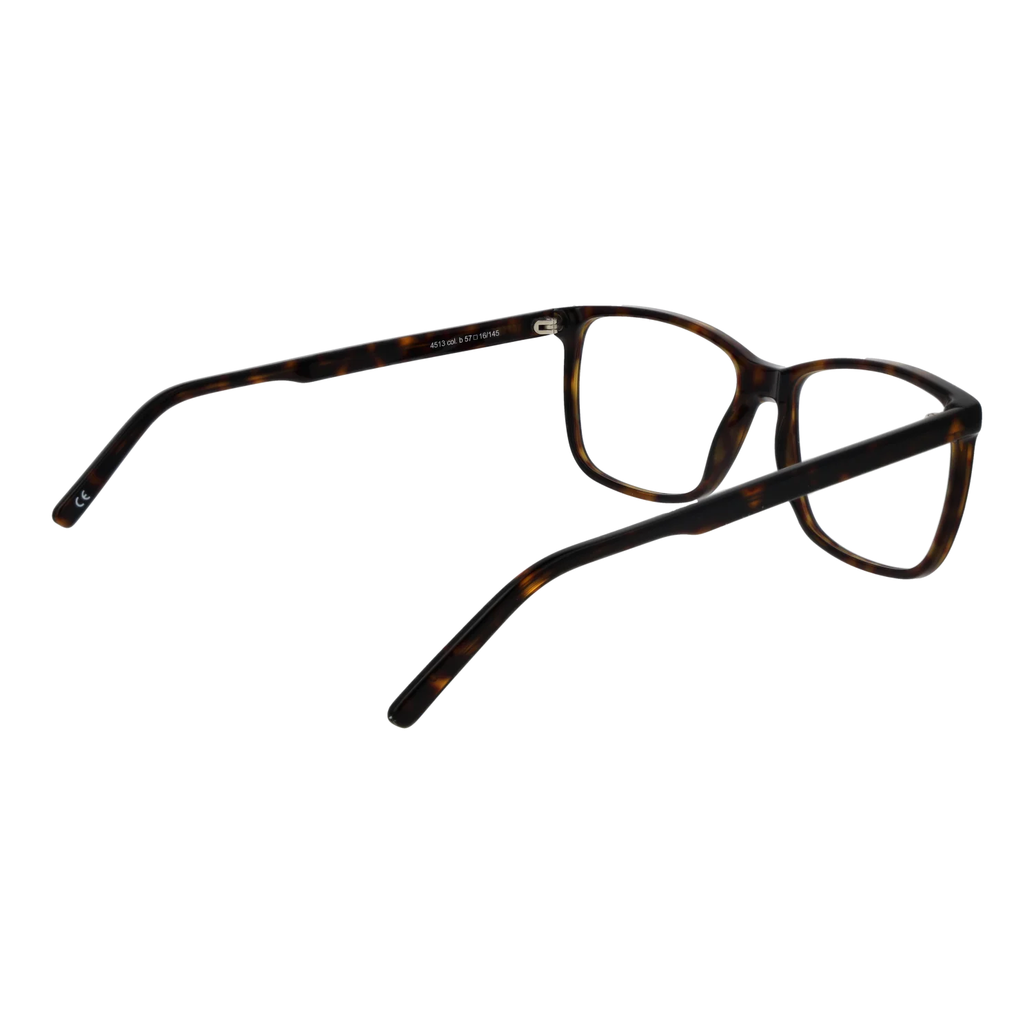 Andy Wolf 4513 57B – von hinten