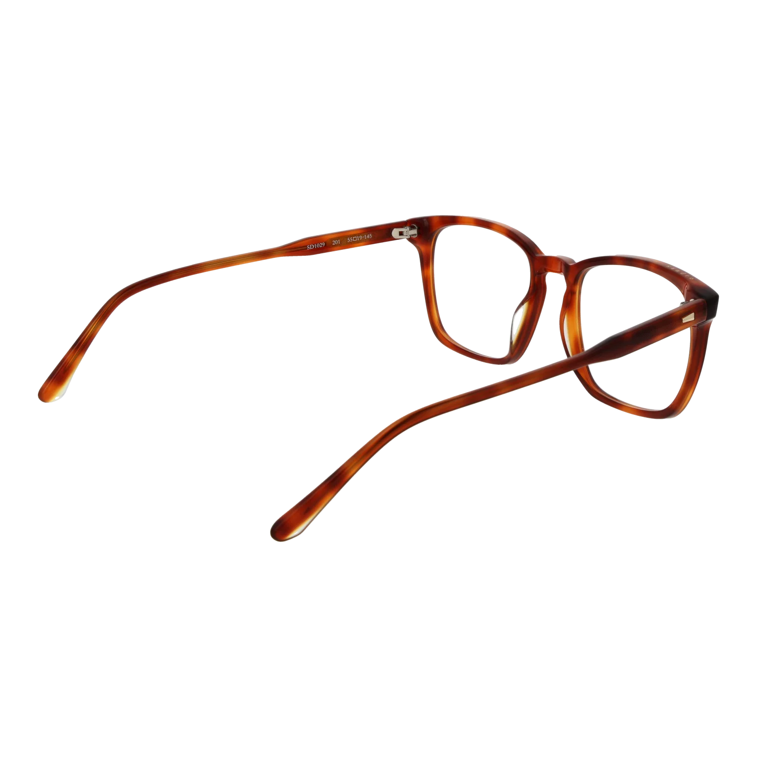 Sandro SD1029 55201 – von hinten