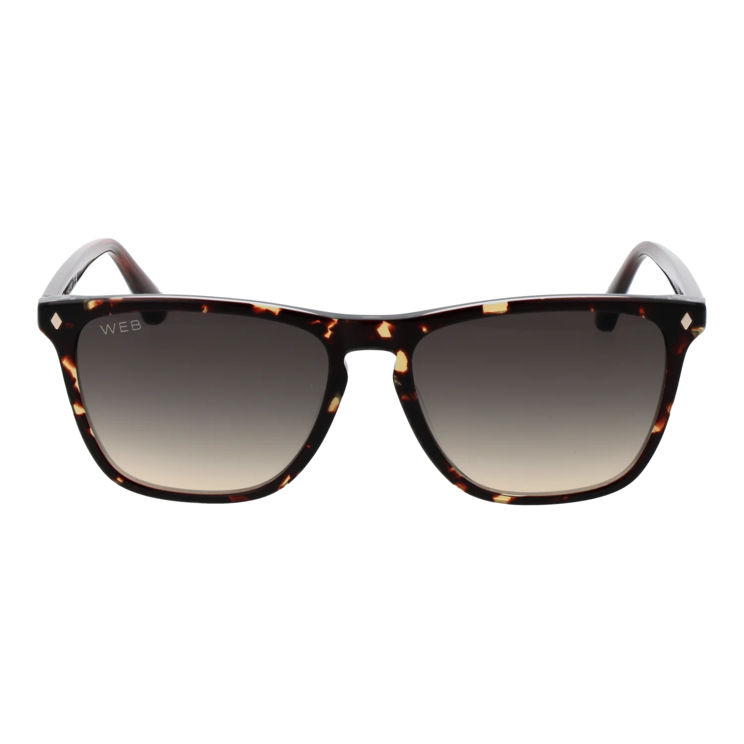Web Sonnenbrille WE0363 56B 55