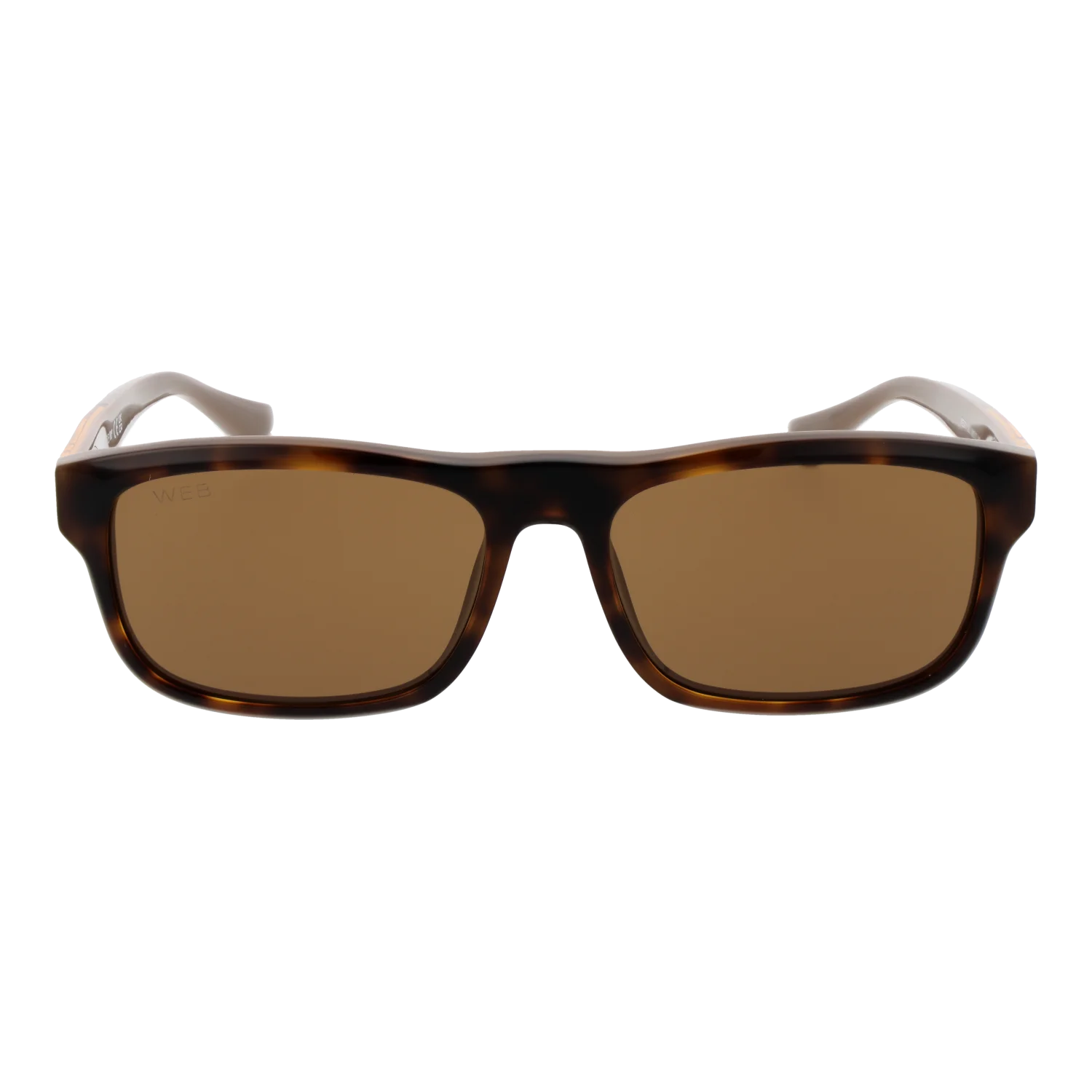 Web Sonnenbrille WE0371 56J 58