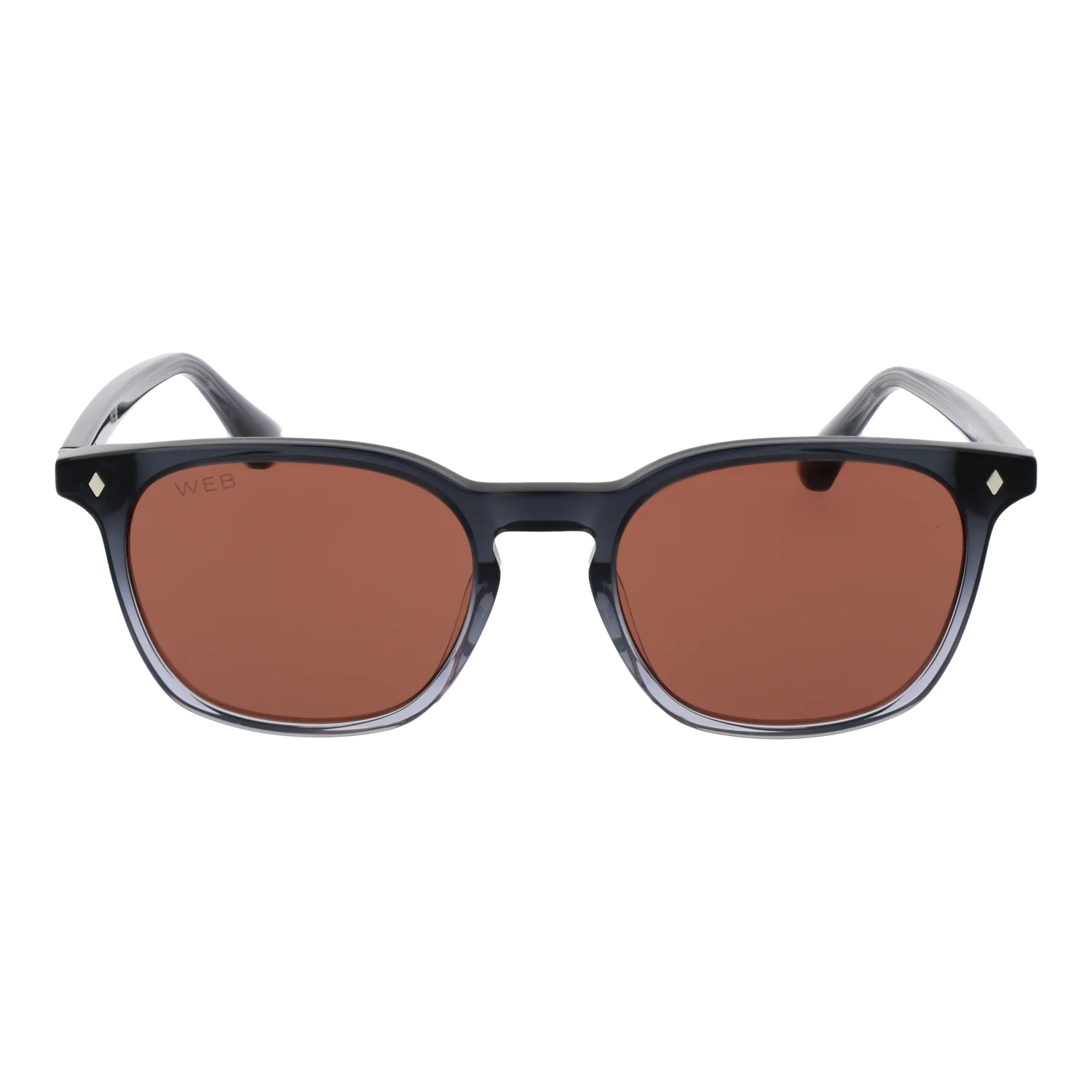 Web Sonnenbrille WE0364 20S 52