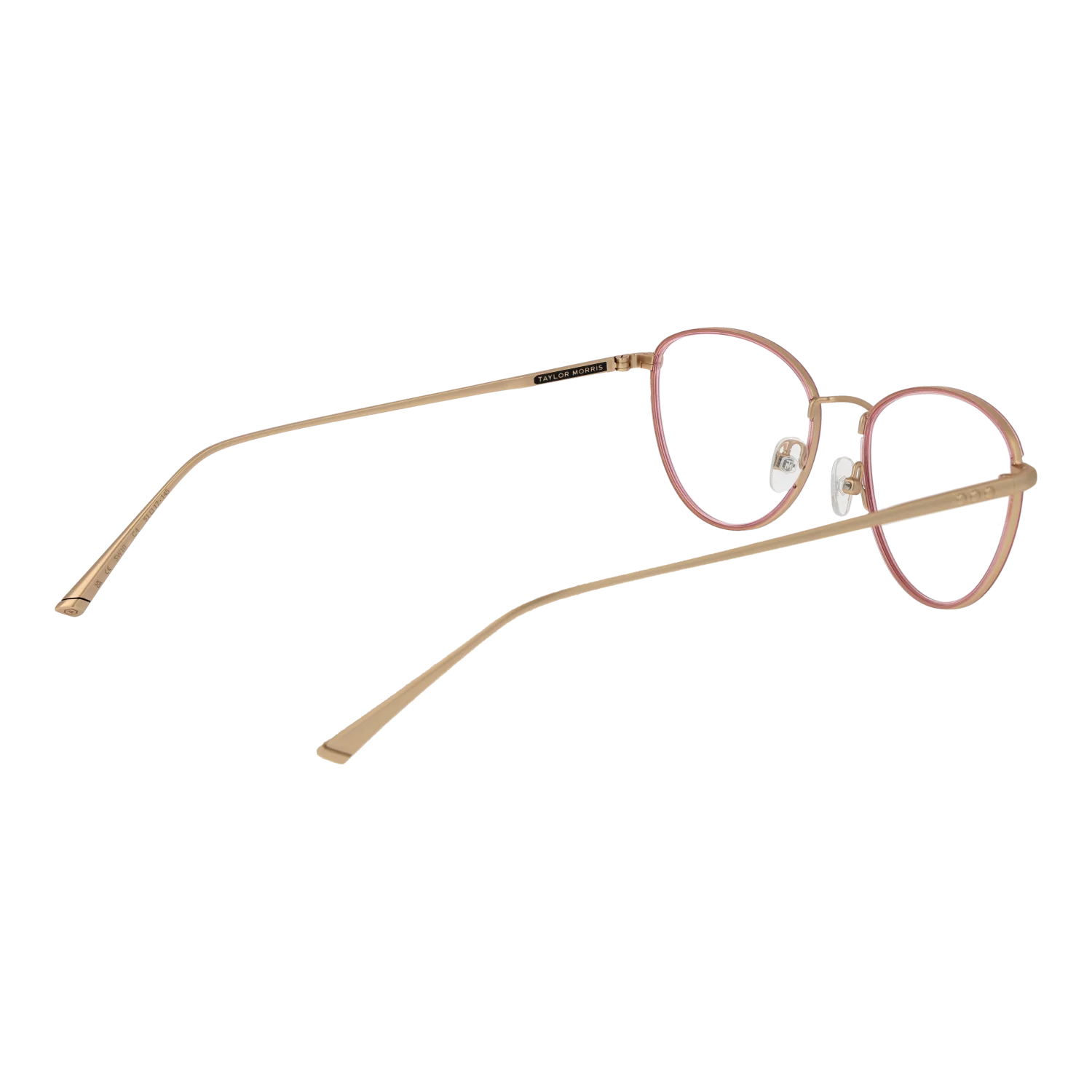Taylor Morris SW10 51C4 – von hinten