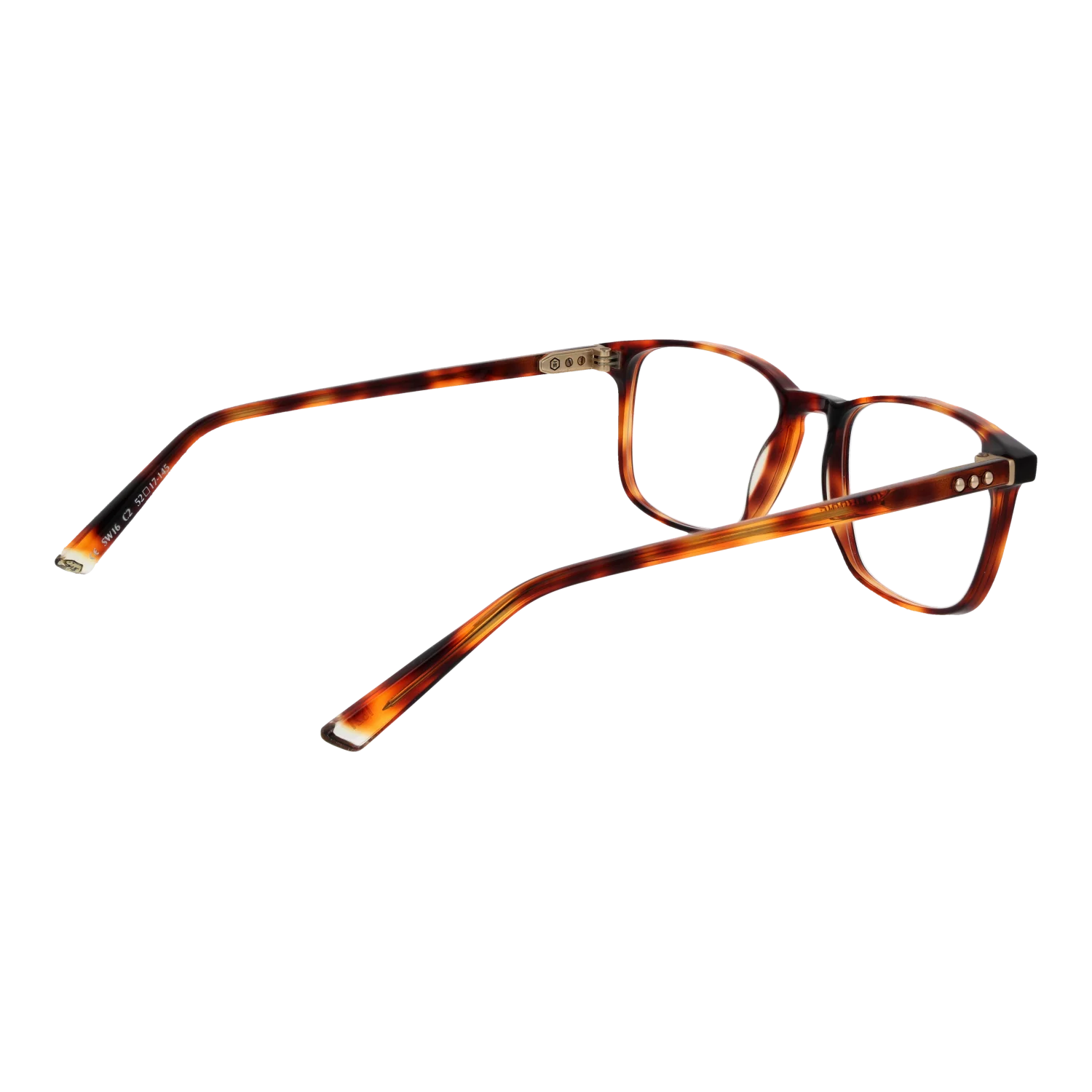 Taylor Morris SW16 52C2 – von hinten