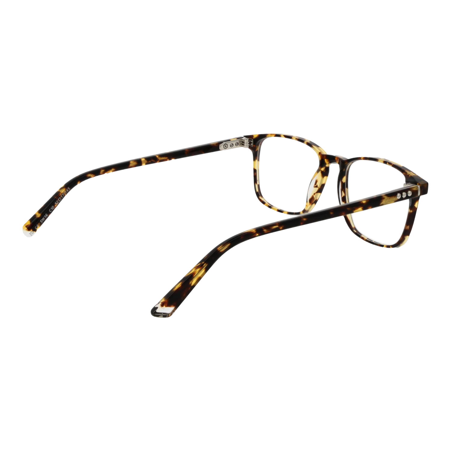 Taylor Morris SW16 52C10 – von hinten