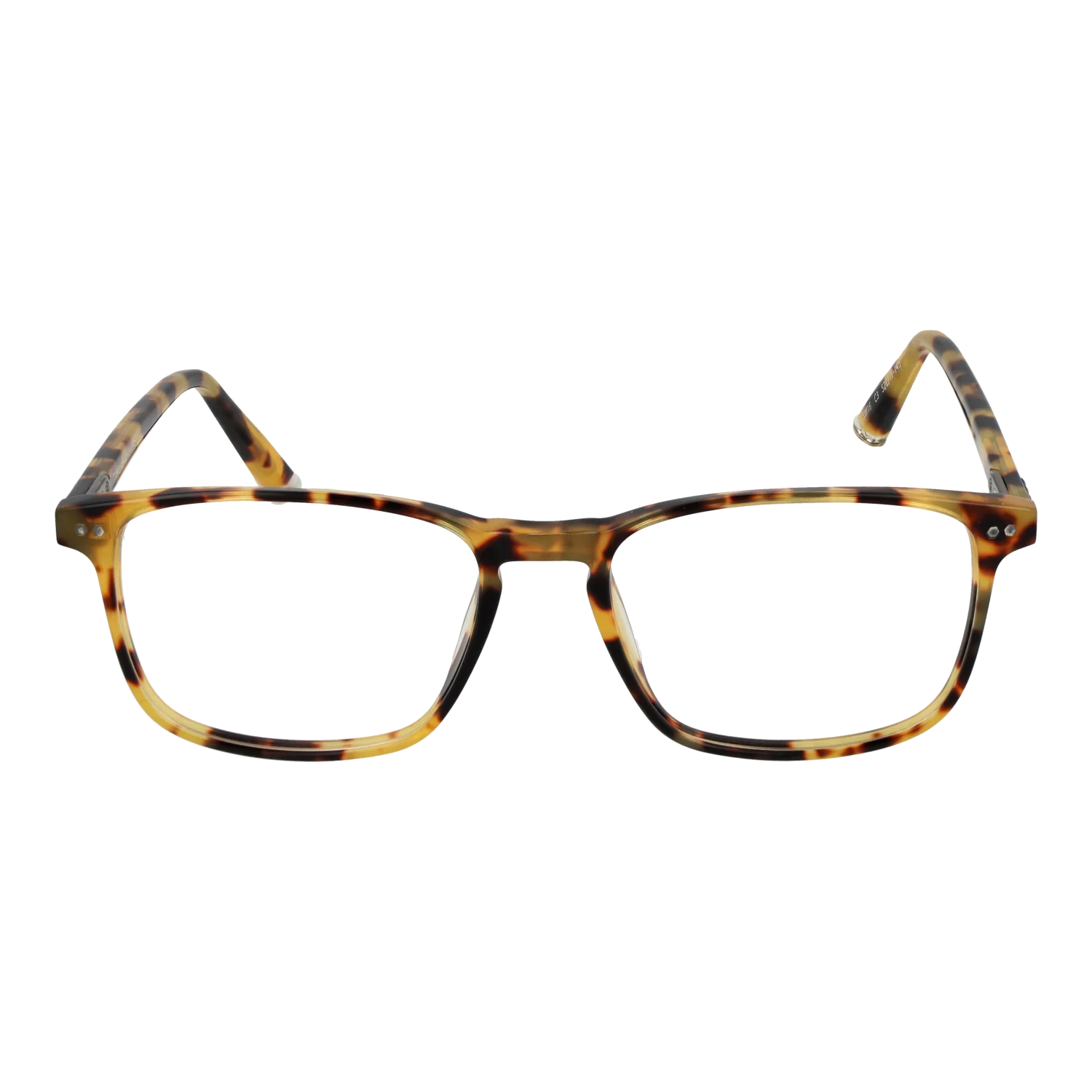 Taylor Morris Brillenfassung SW16 C3 52