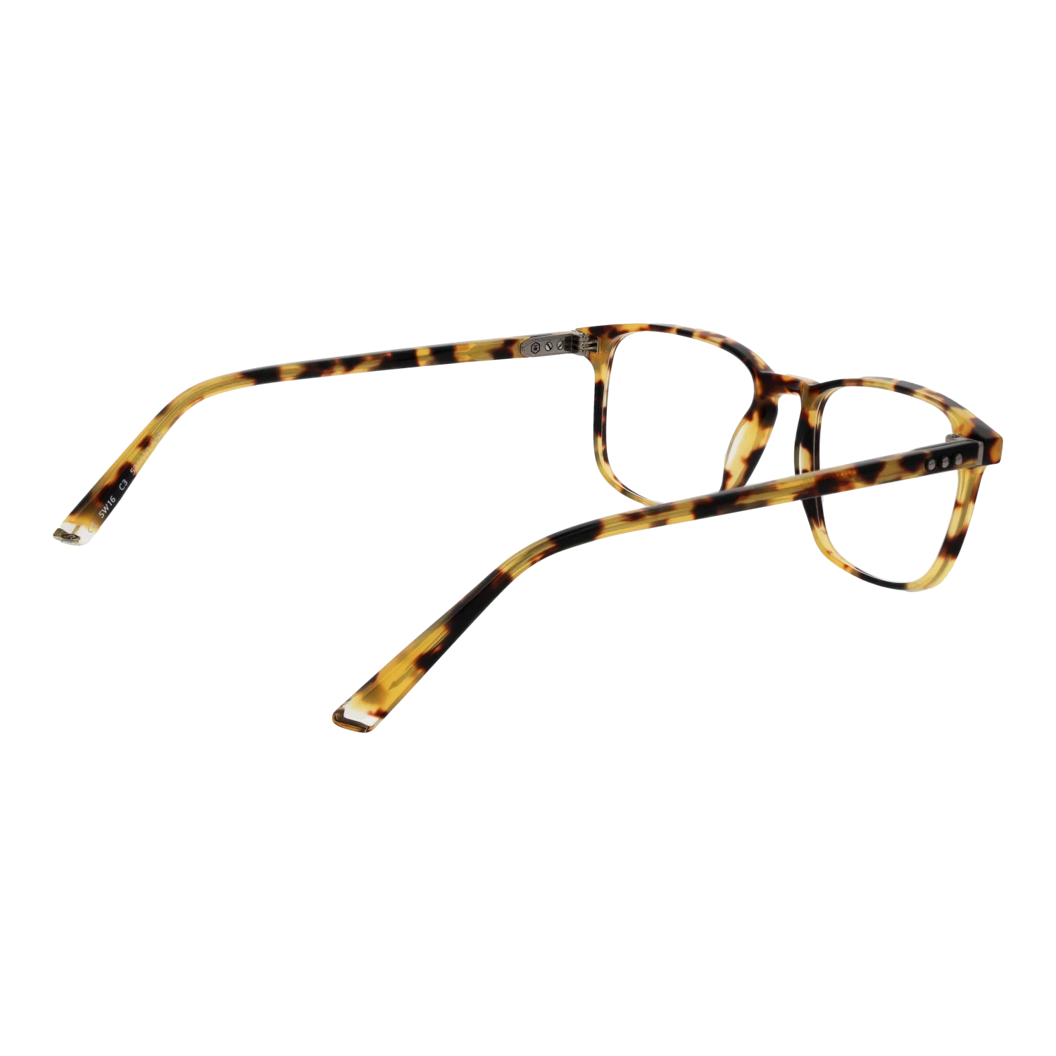 Taylor Morris SW16 52C3 – von hinten