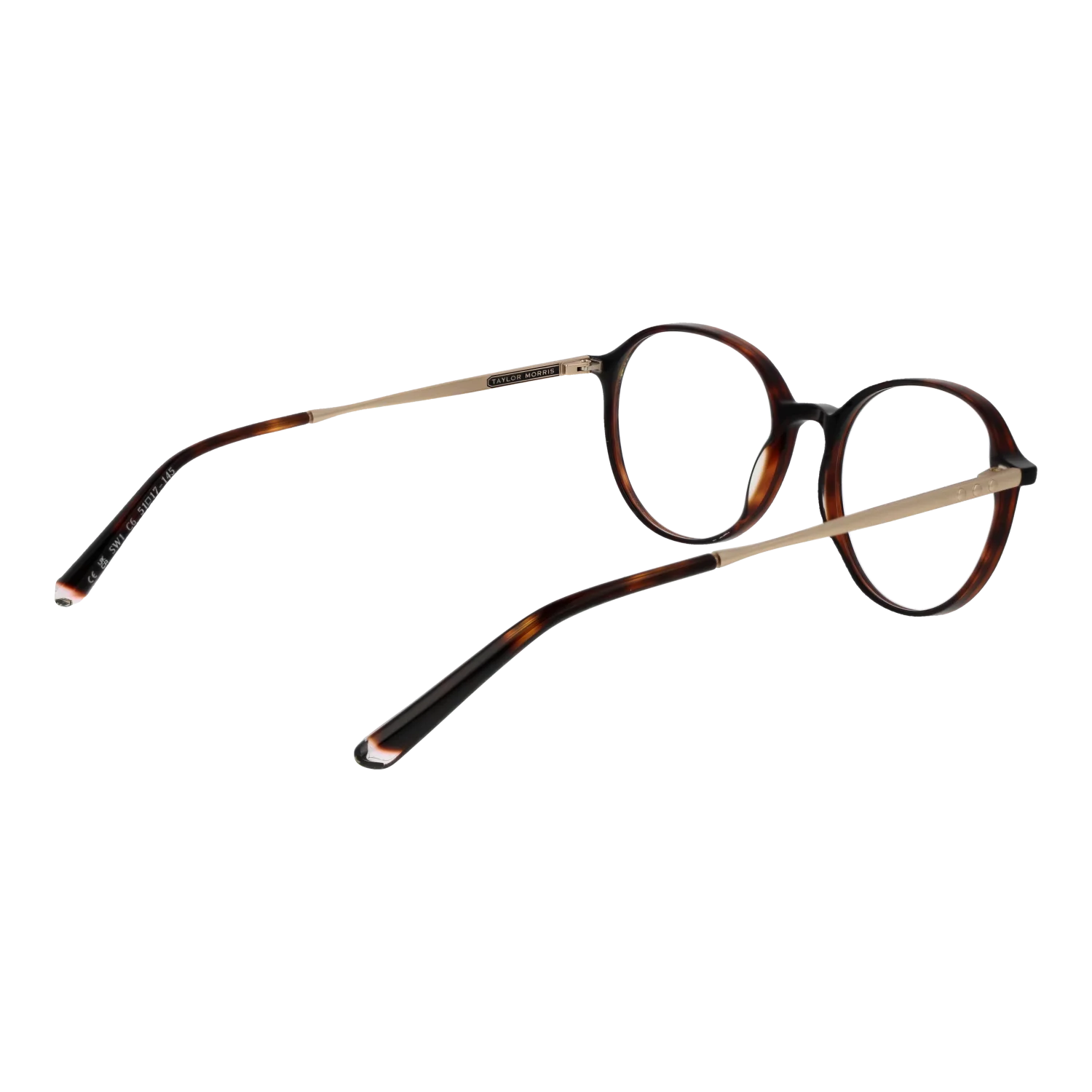 Taylor Morris SW1 51C6 – von hinten