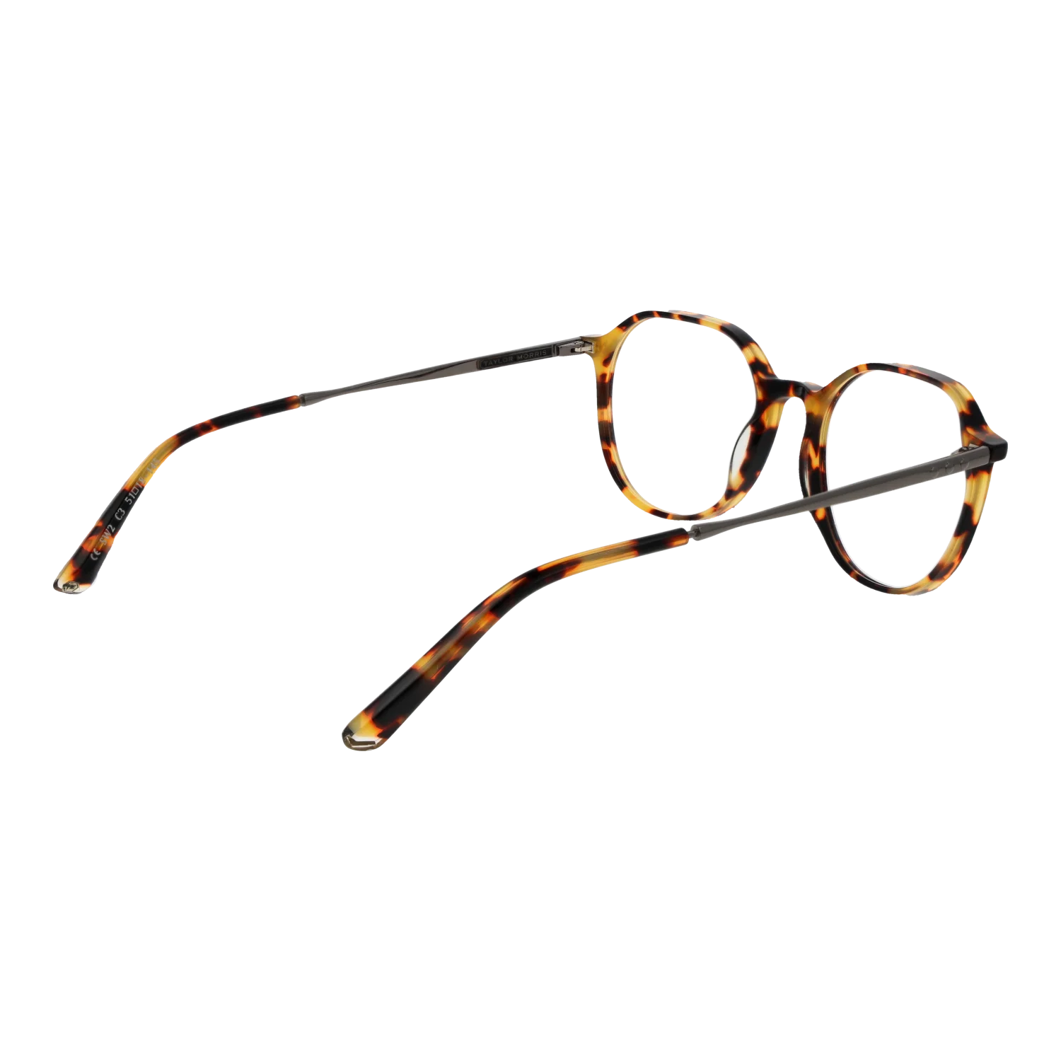 Taylor Morris SW2 51C3 – von hinten