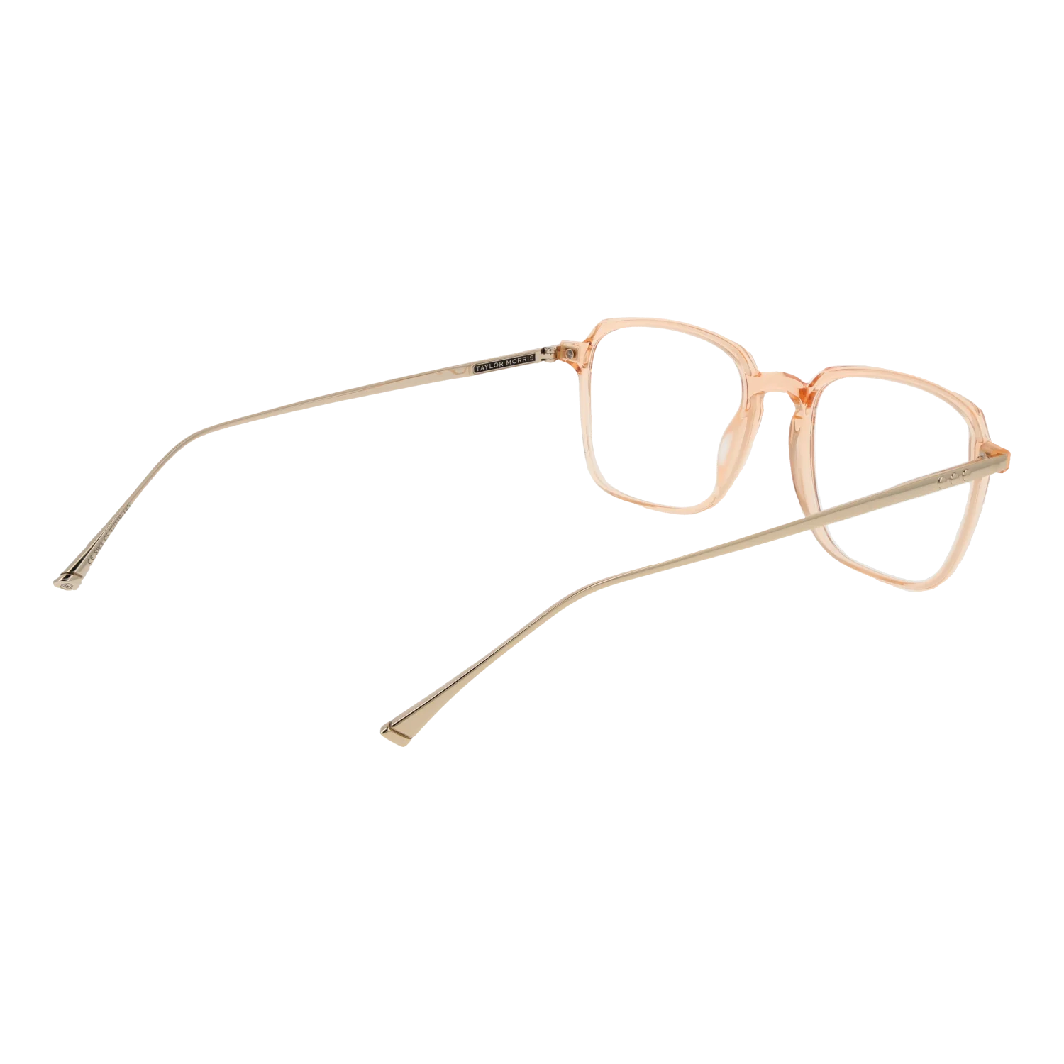 Taylor Morris SW3 52C5 – von hinten
