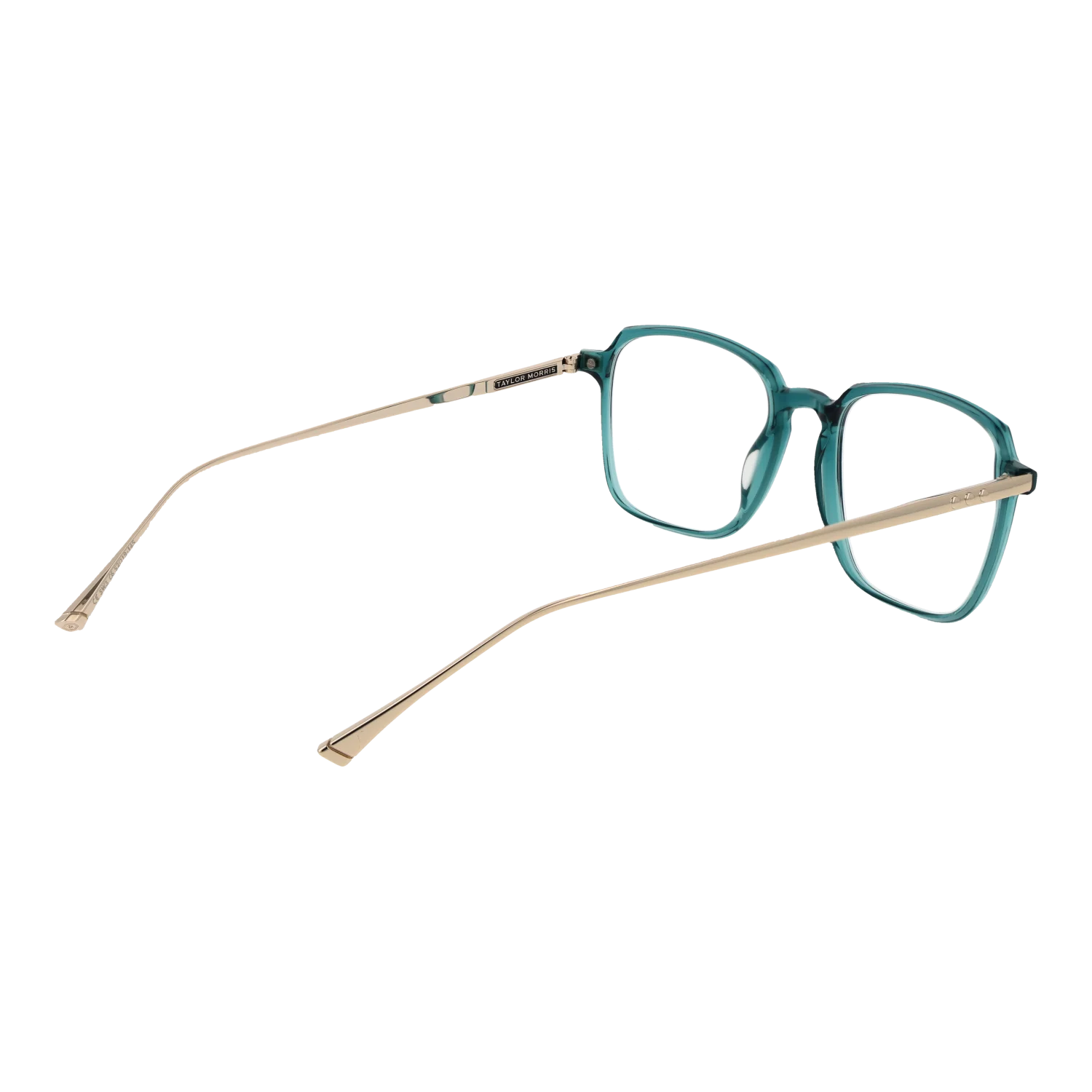 Taylor Morris SW3 52C6 – von hinten
