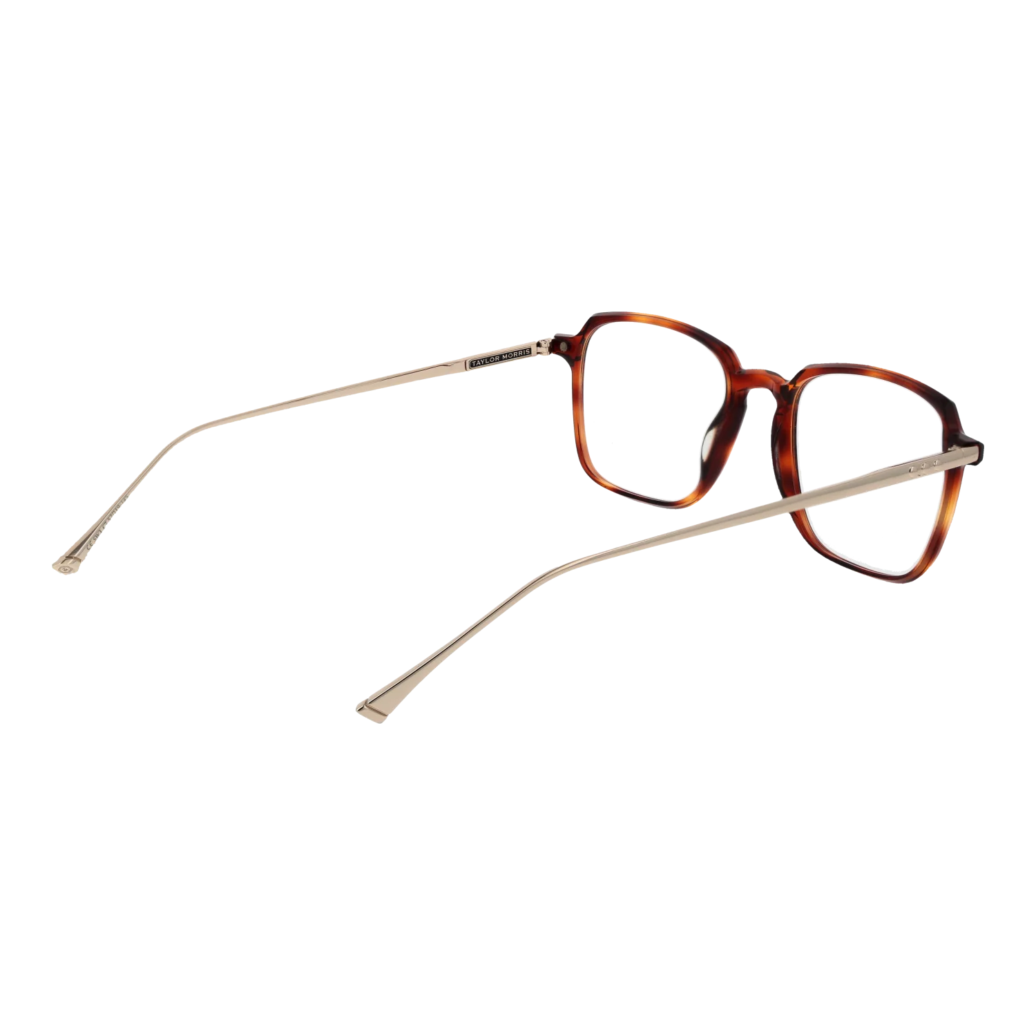 Taylor Morris SW3 52C7 – von hinten