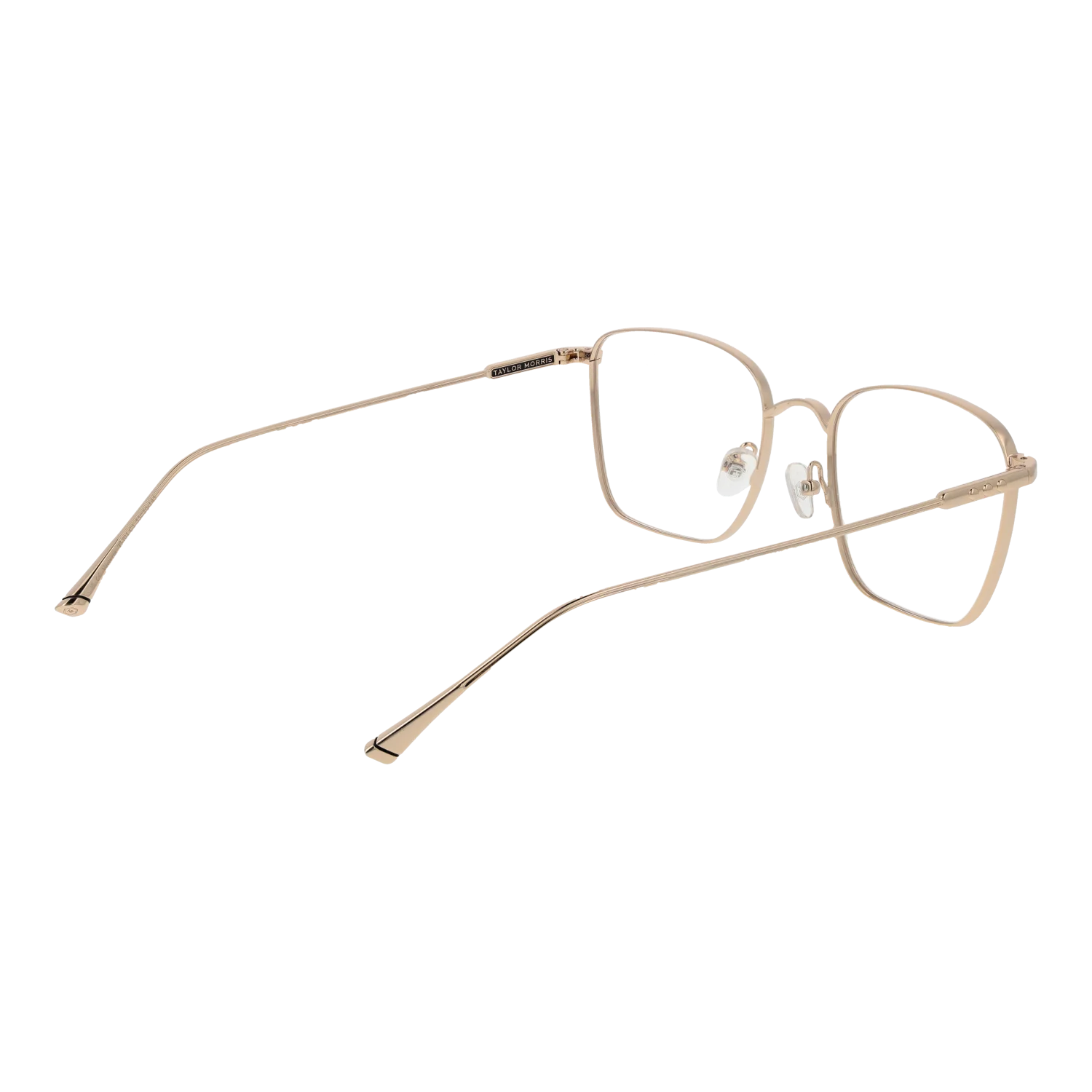 Taylor Morris TM01 55C1 – von hinten