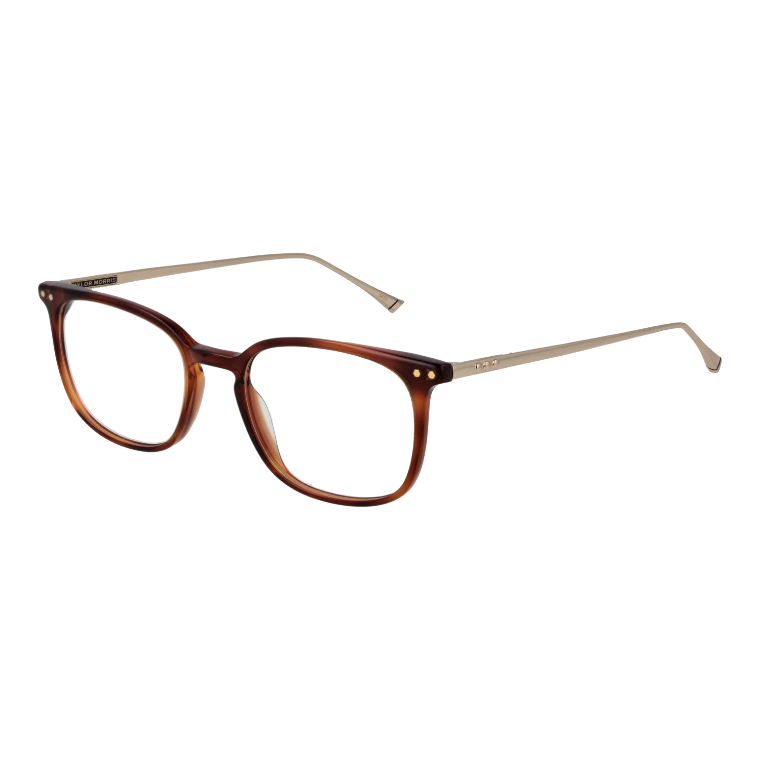Taylor Morris TM06 49C2 – schräg