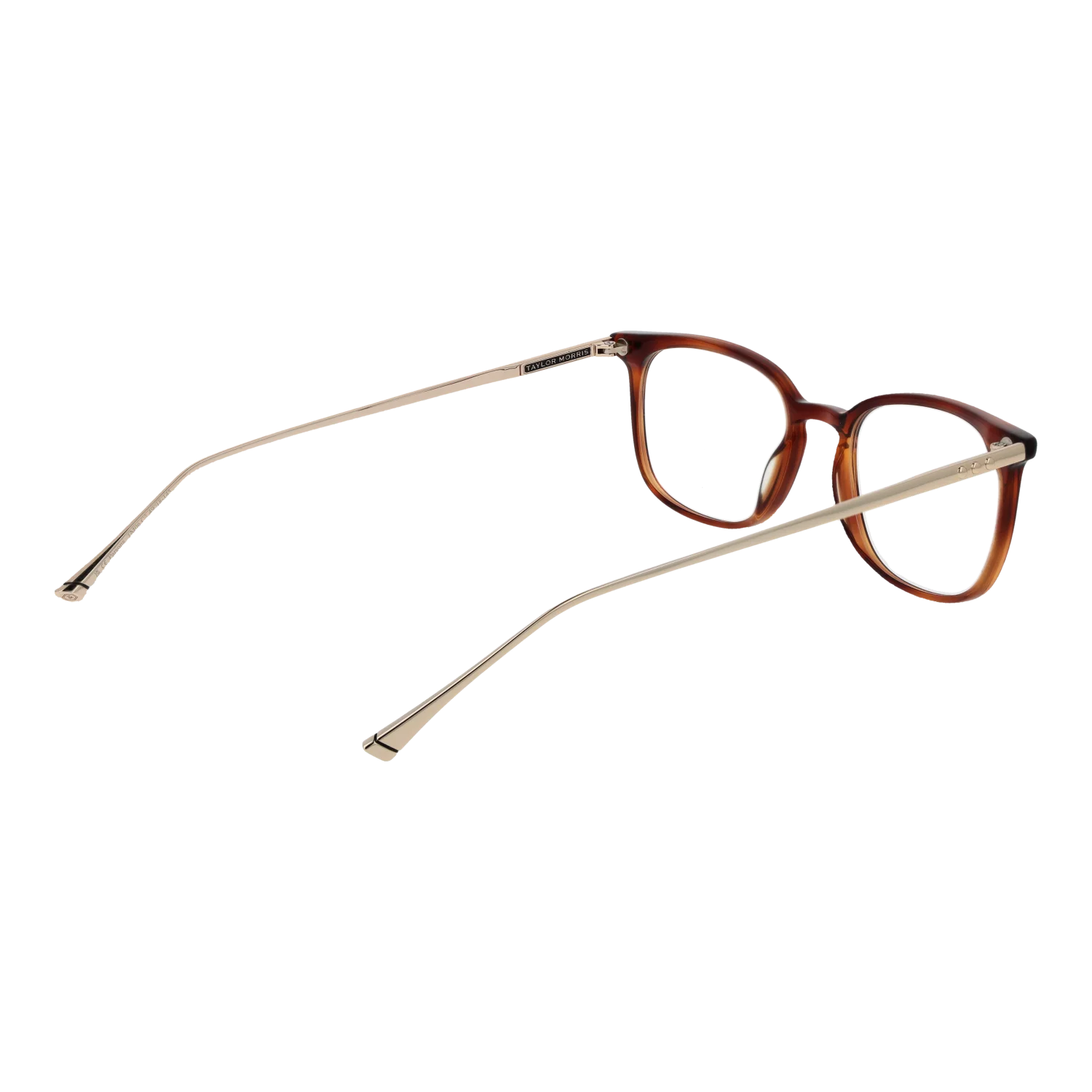 Taylor Morris TM06 49C2 – von hinten