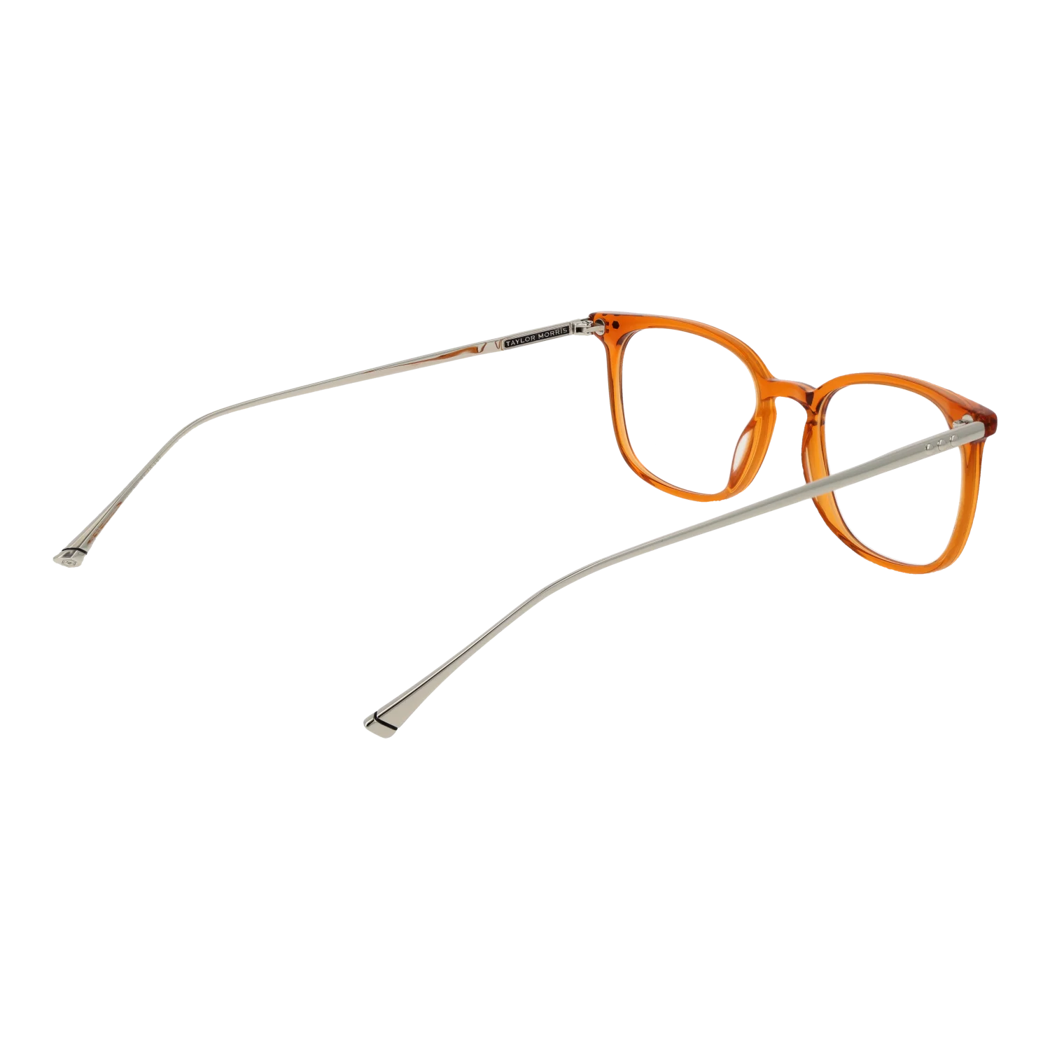 Taylor Morris TM06 49C3 – von hinten