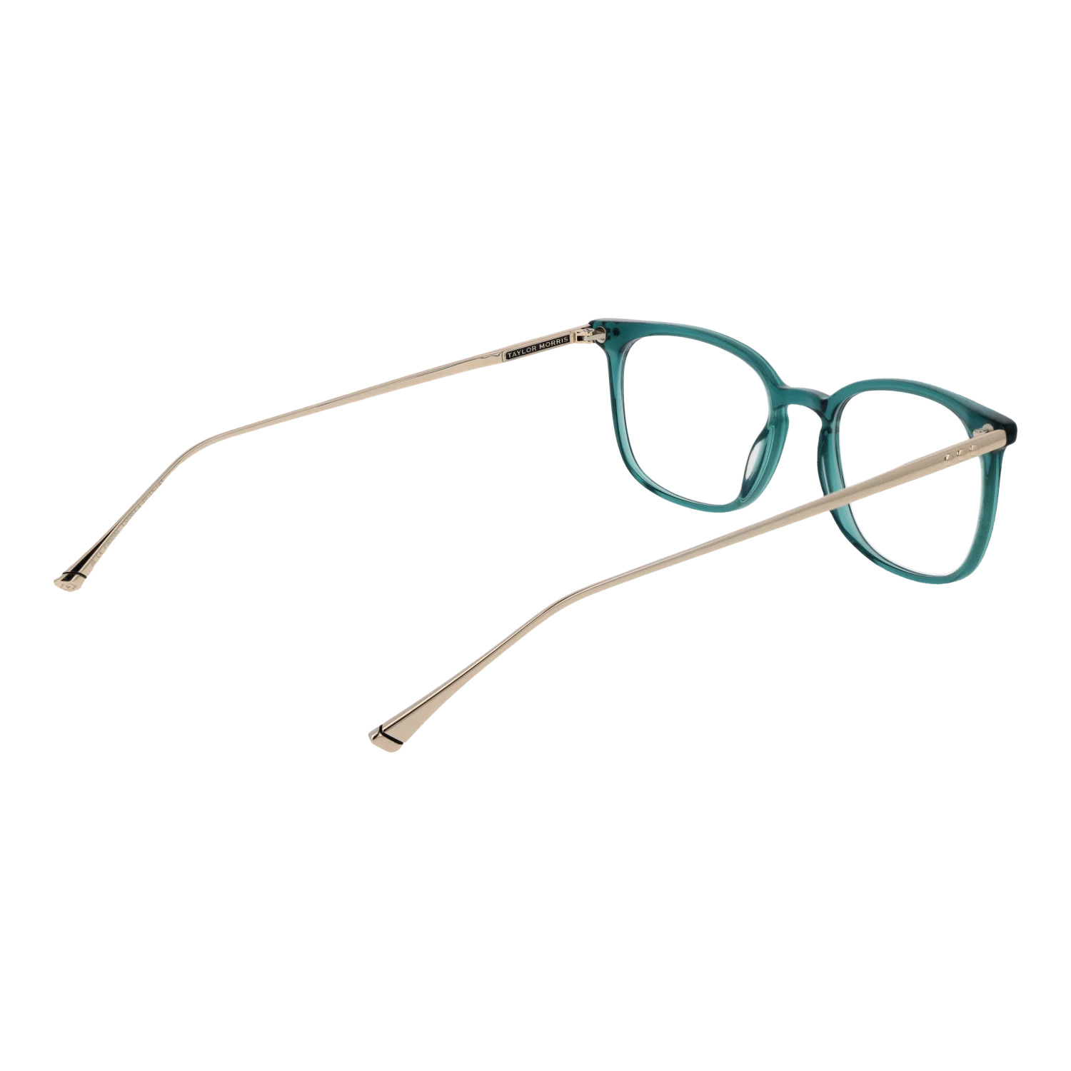 Taylor Morris TM06 49C4 – von hinten