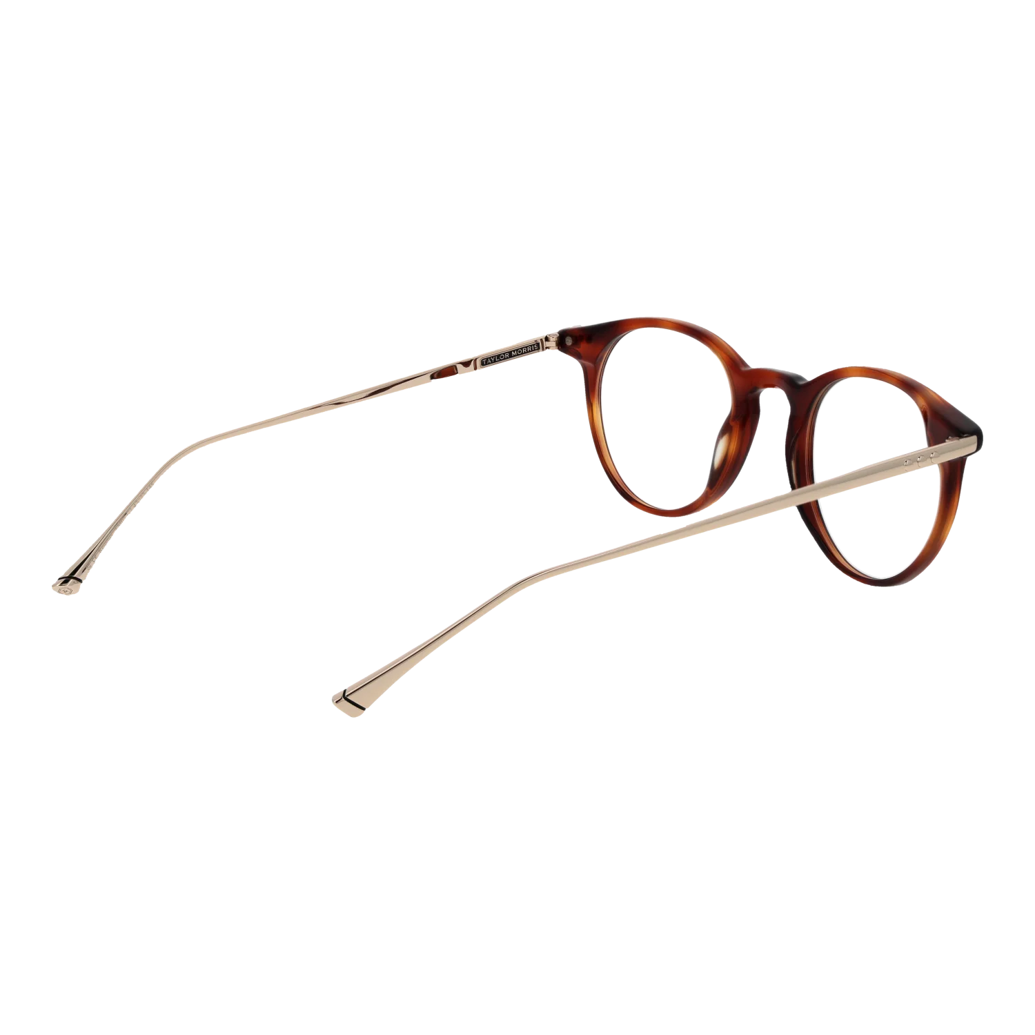 Taylor Morris TM07 47C2 – von hinten