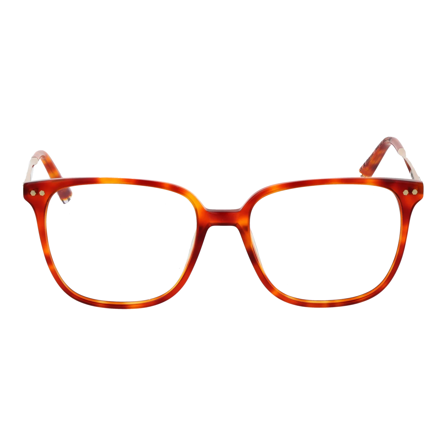 Taylor Morris Brillenfassung TM08 C2 53