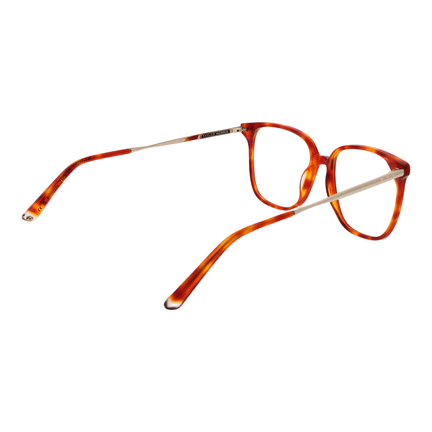 Taylor Morris TM08 53C2 – von hinten