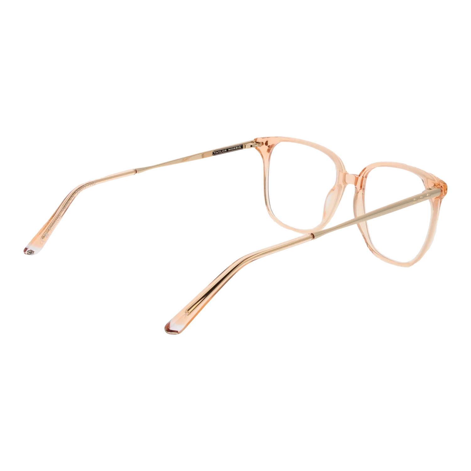 Taylor Morris TM08 53C3 – von hinten