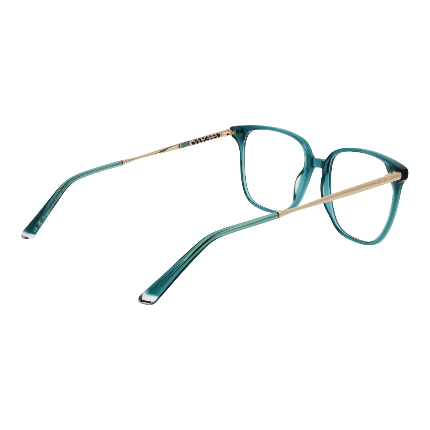 Taylor Morris TM08 53C4 – von hinten