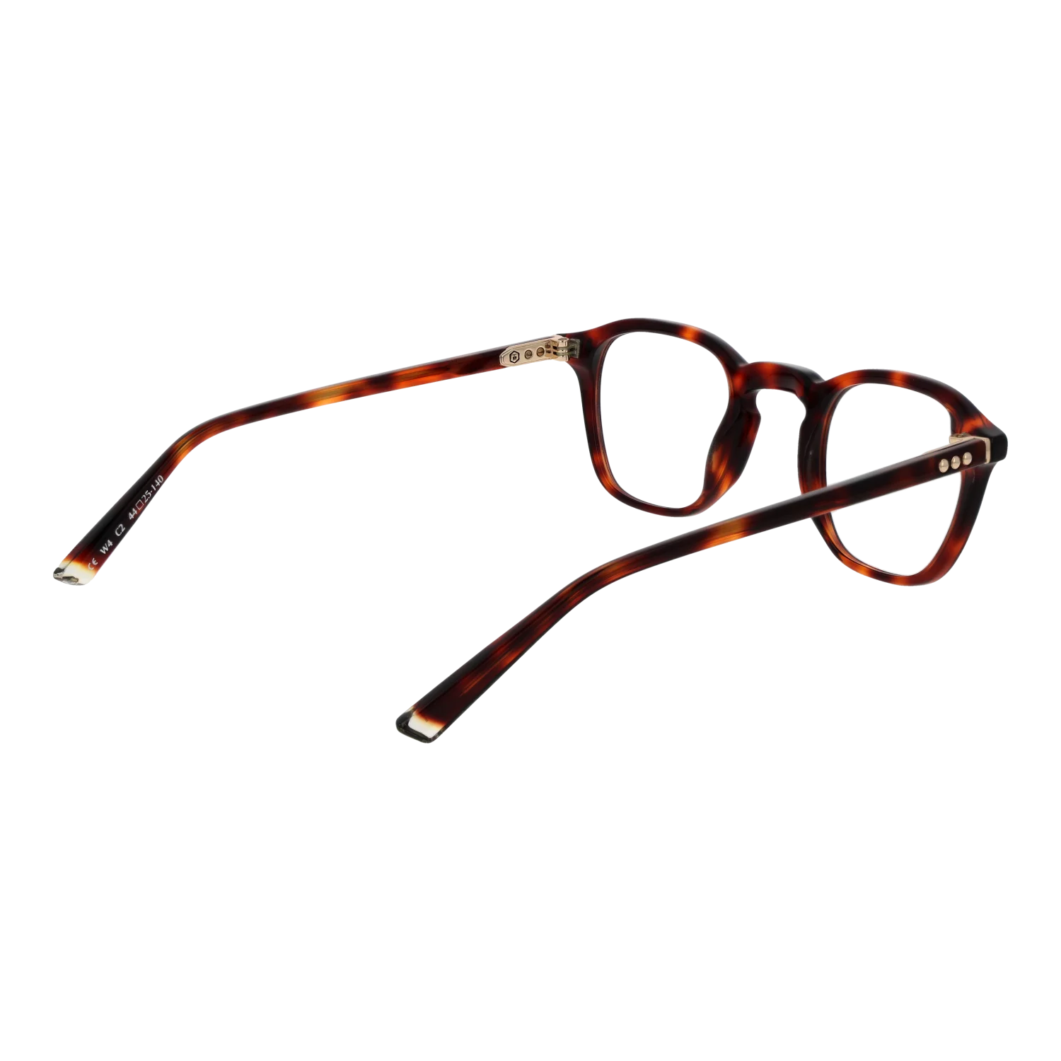 Taylor Morris W4 44C2 – von hinten