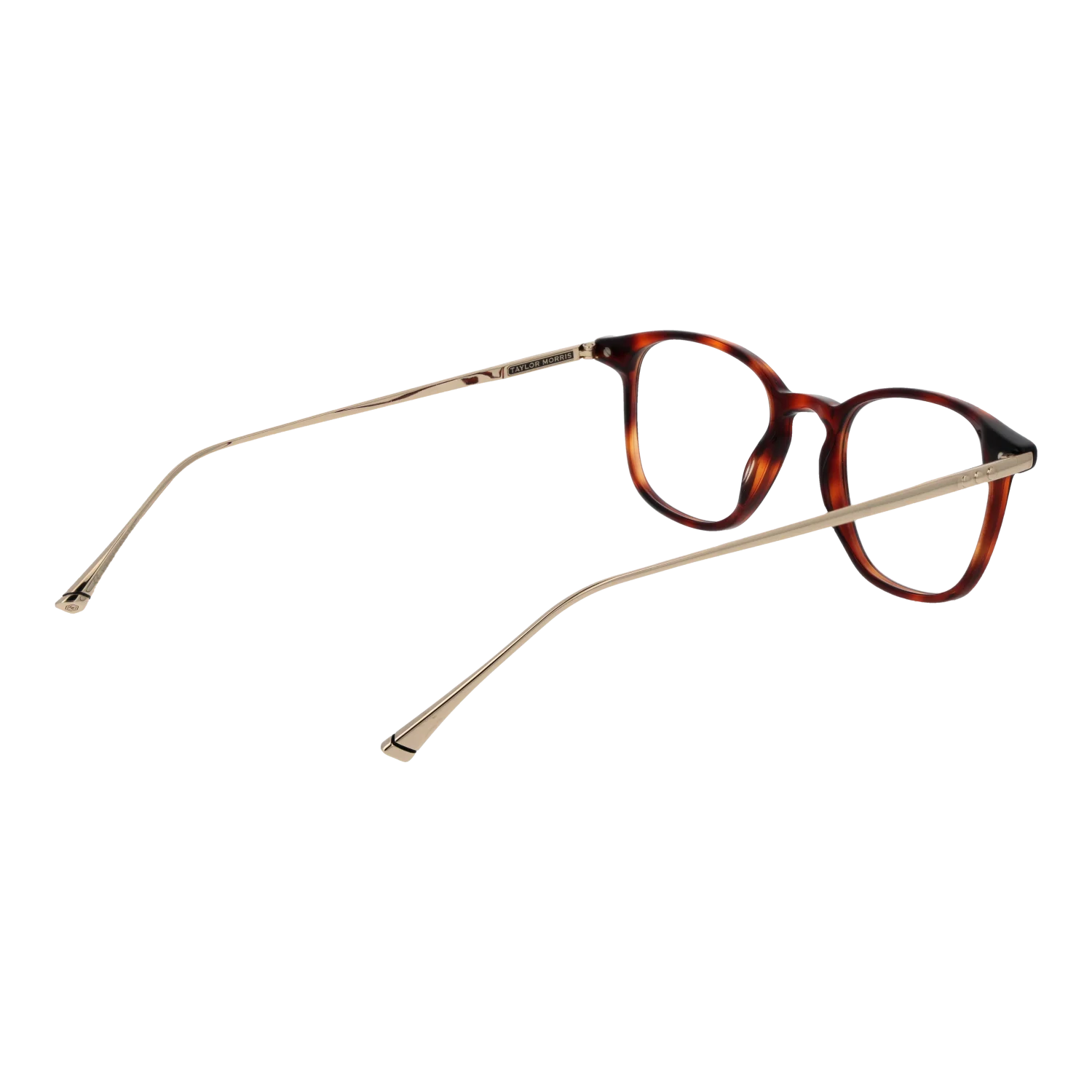 Taylor Morris W9 48C2 – von hinten