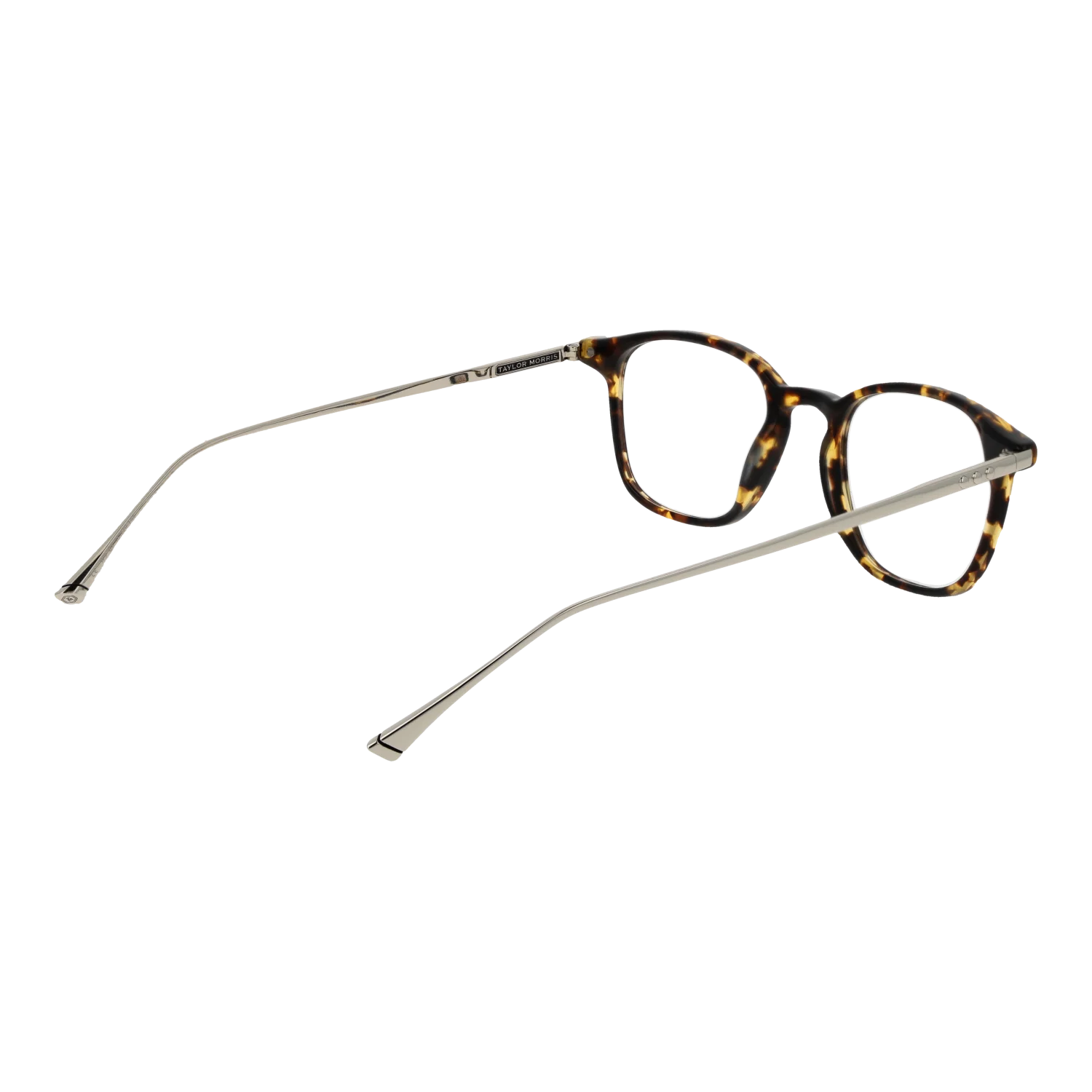Taylor Morris W9 48C8 – von hinten