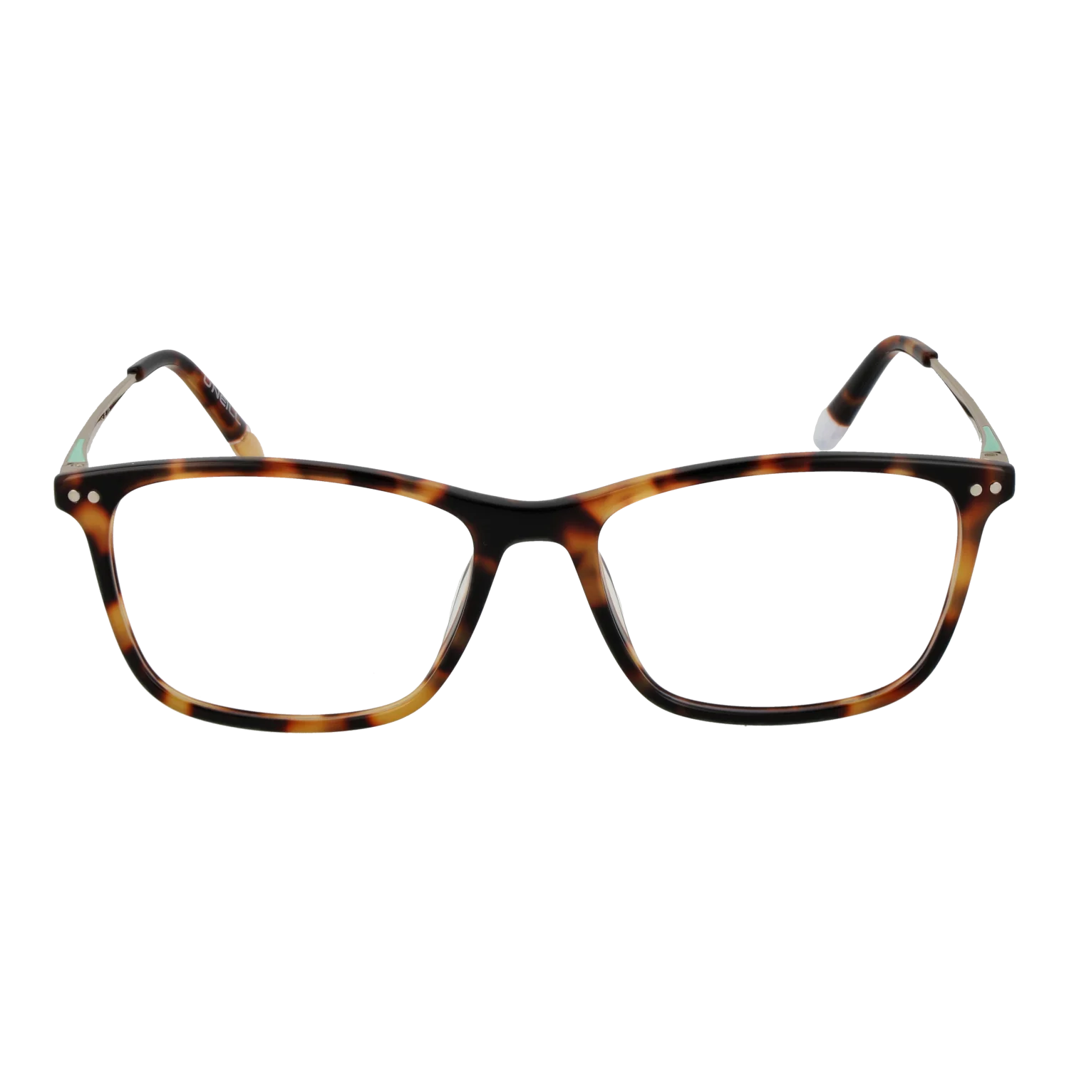 O'Neill Brillenfassung ONB-4024 102 52