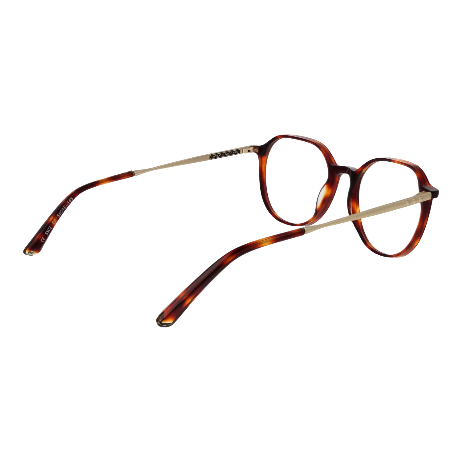 Taylor Morris SW2 51C2 – von hinten