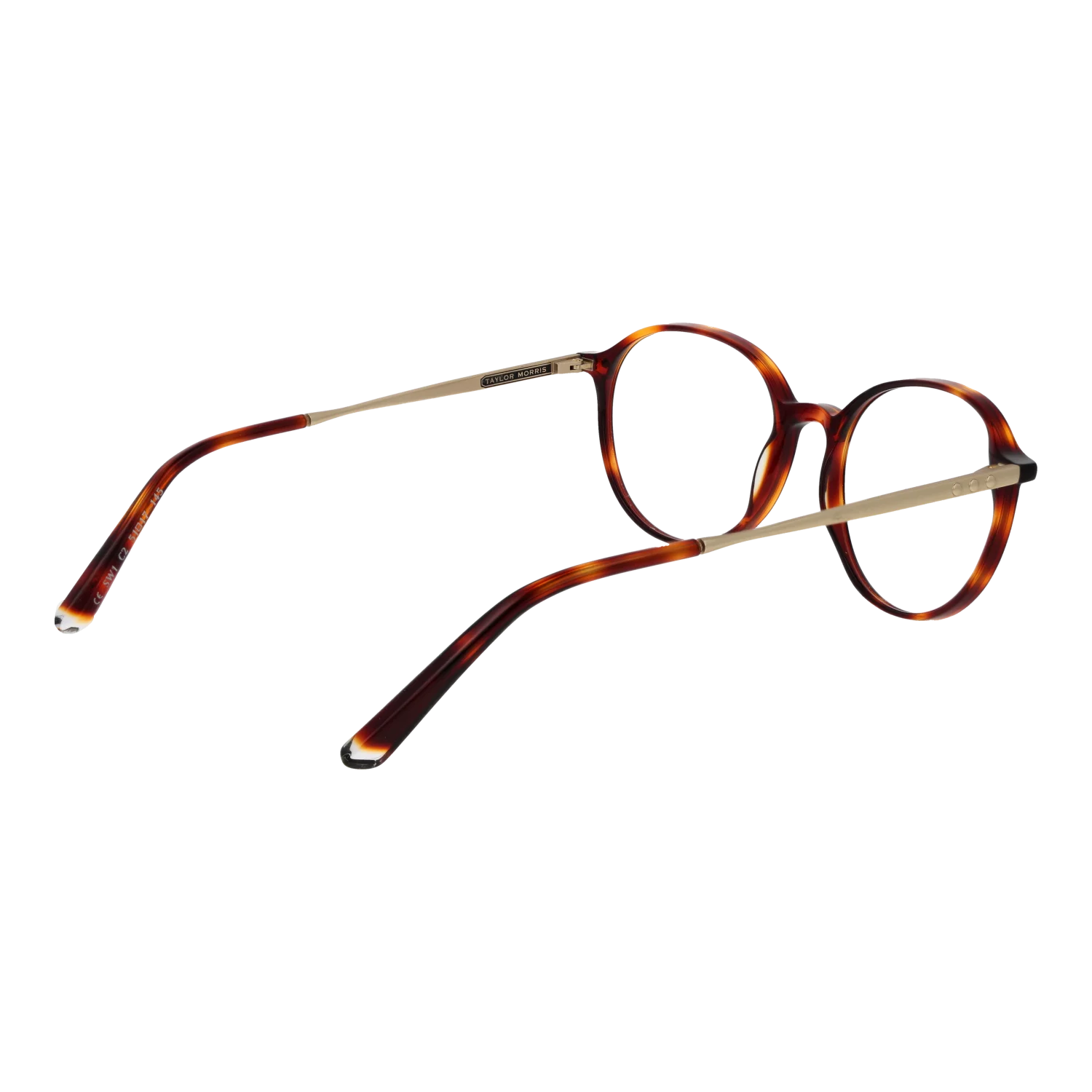 Taylor Morris SW1 51C2 – von hinten