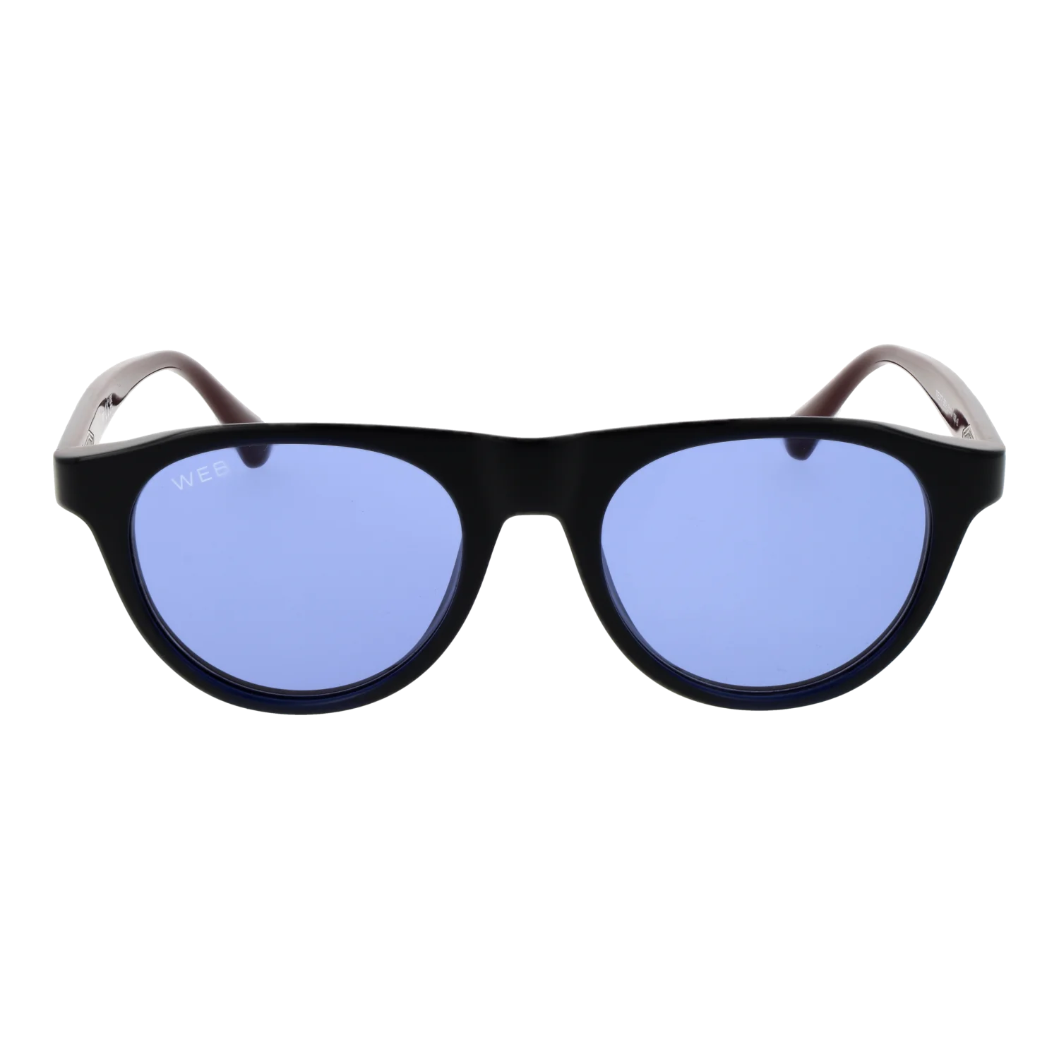 Web Sonnenbrille WE0377 92V 51
