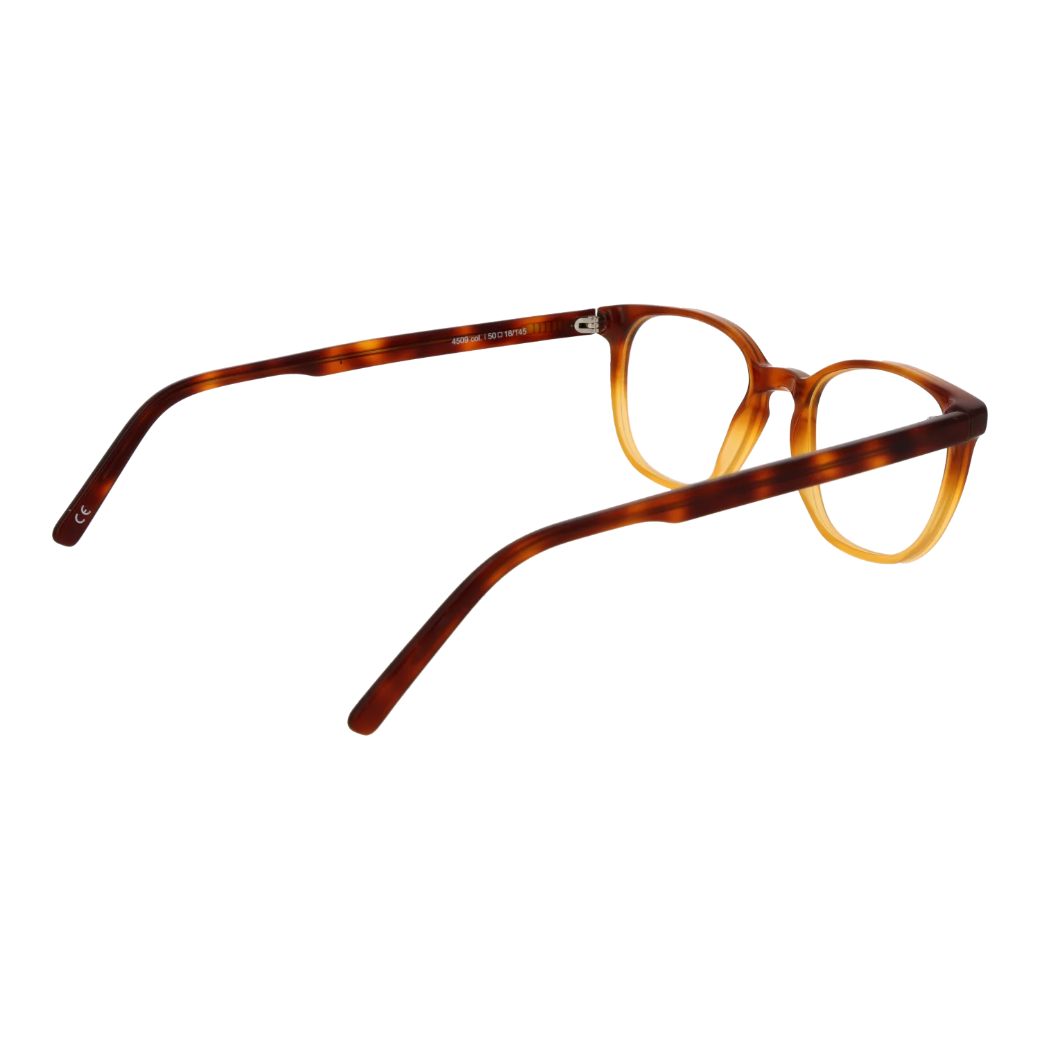 Andy Wolf 4509 50I – von hinten