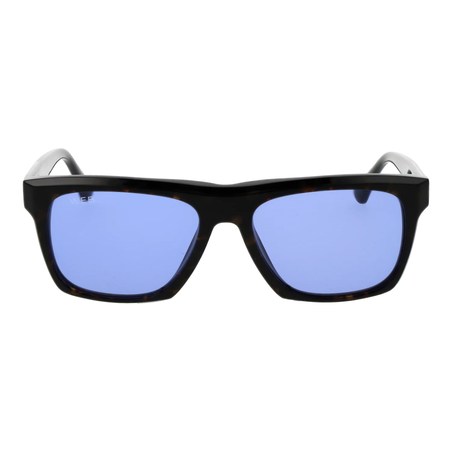 Web Sonnenbrille WE0350 56V 55