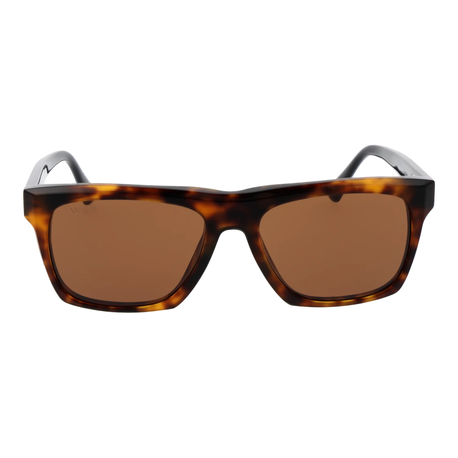 Web Sonnenbrille WE0350 55E 55