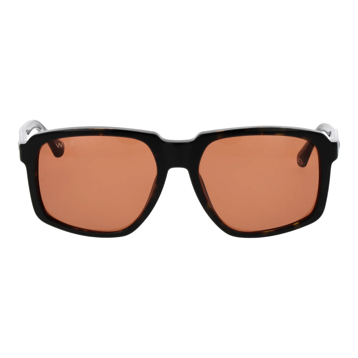 Web Sonnenbrille WE0378 56J 58
