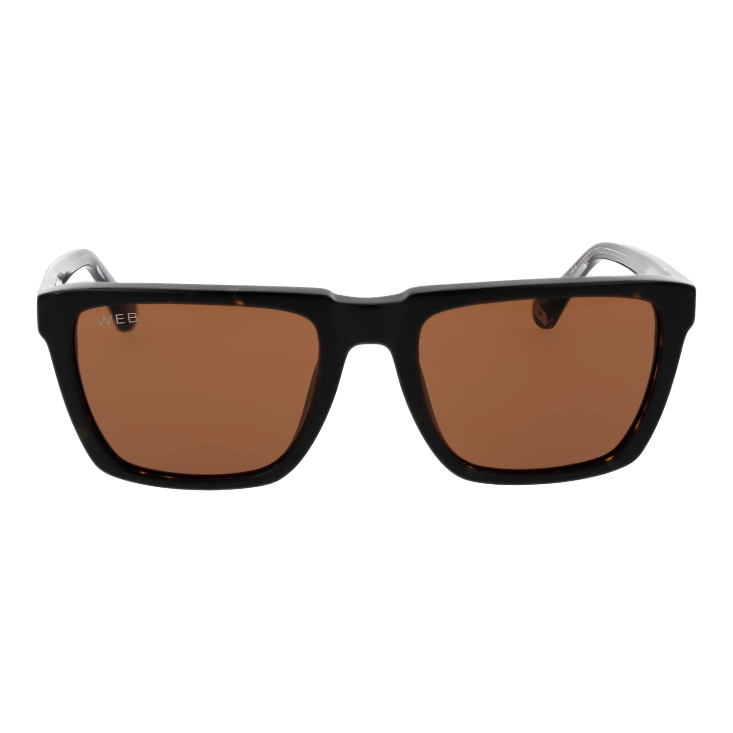 Web Sonnenbrille WE0379 56E 55