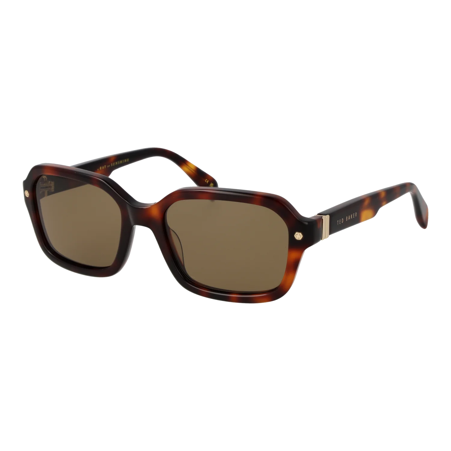 Ted Baker TB1697 55101 – schräg