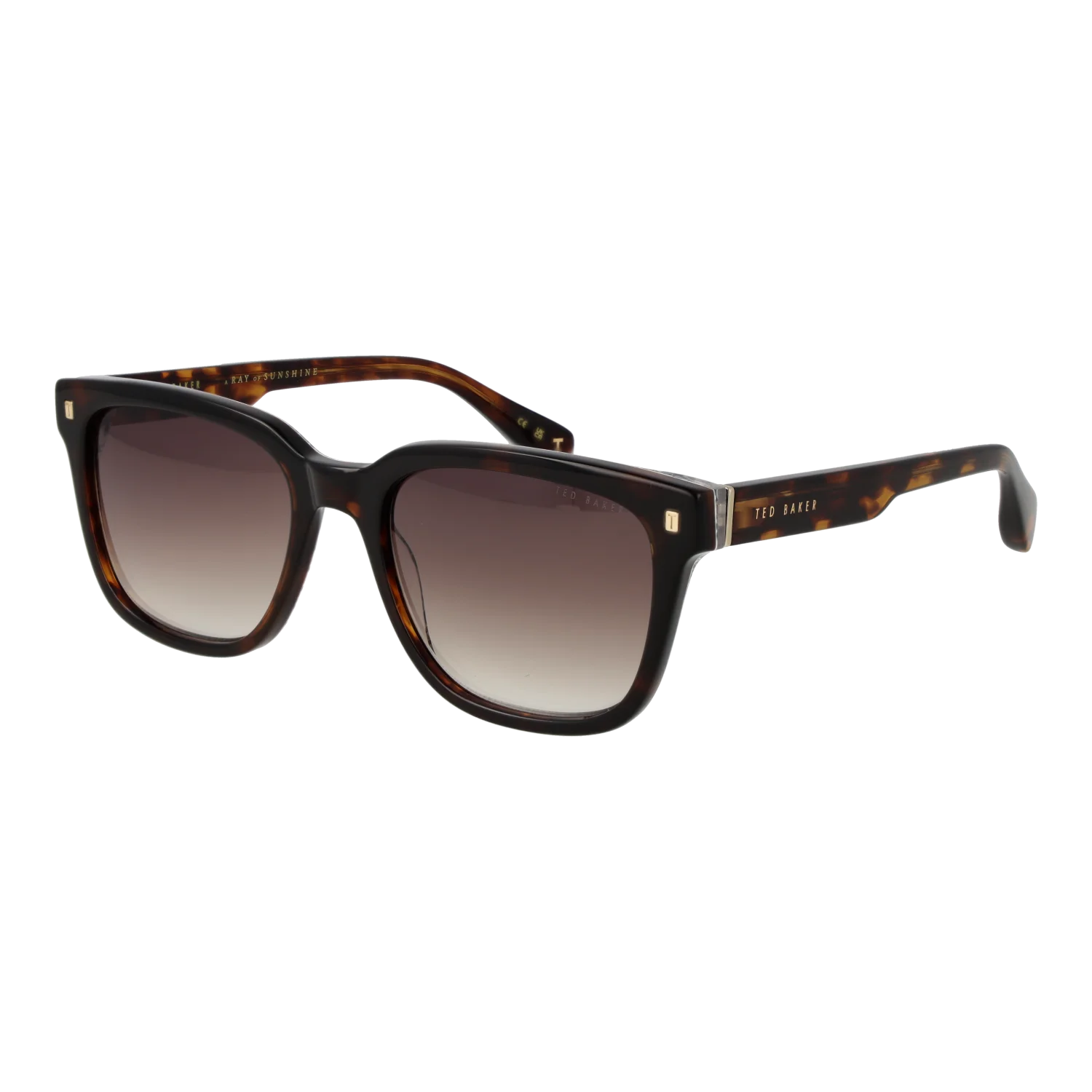 Ted Baker TB1754 54119 – schräg