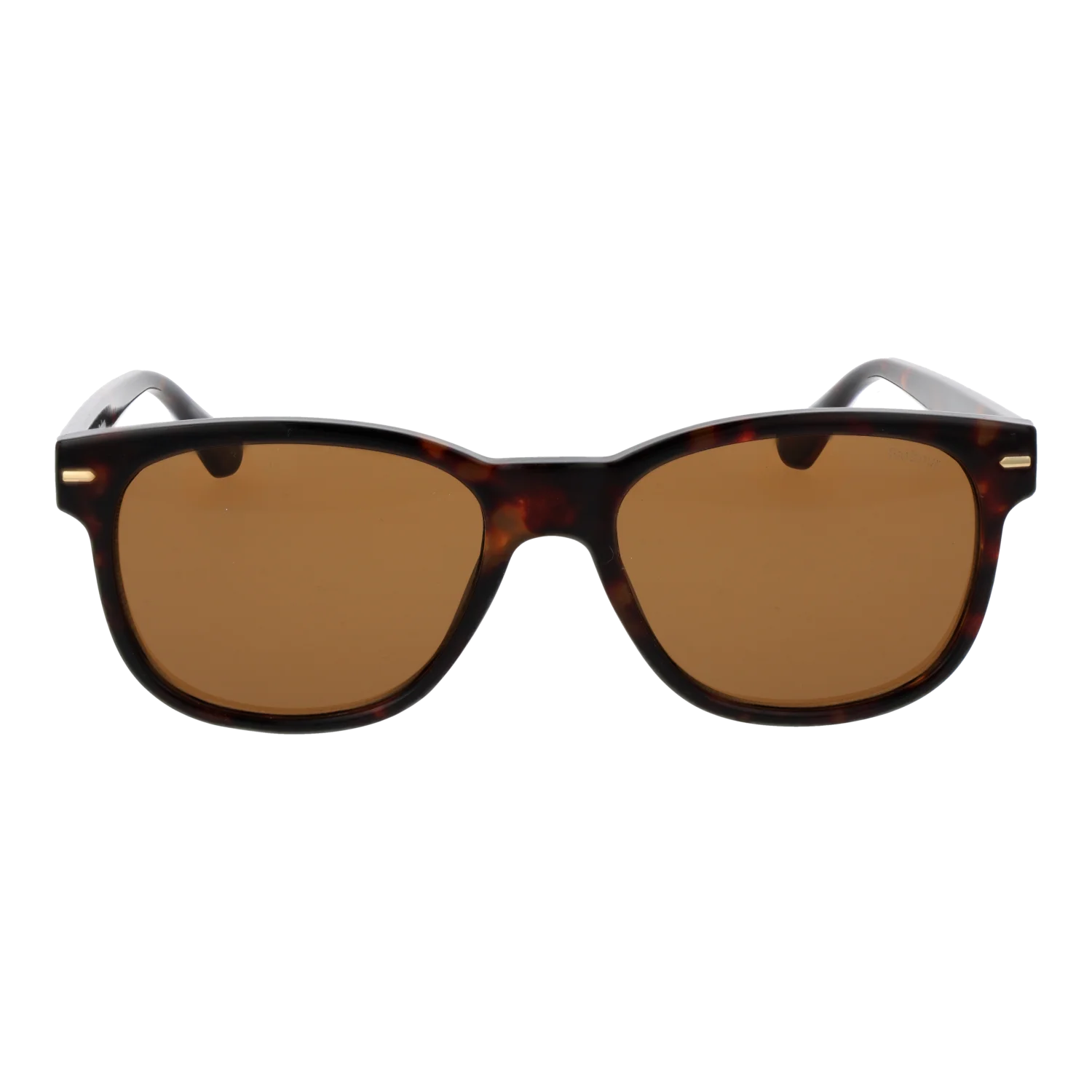Barbour Sonnenbrille BAS 3025 102 55