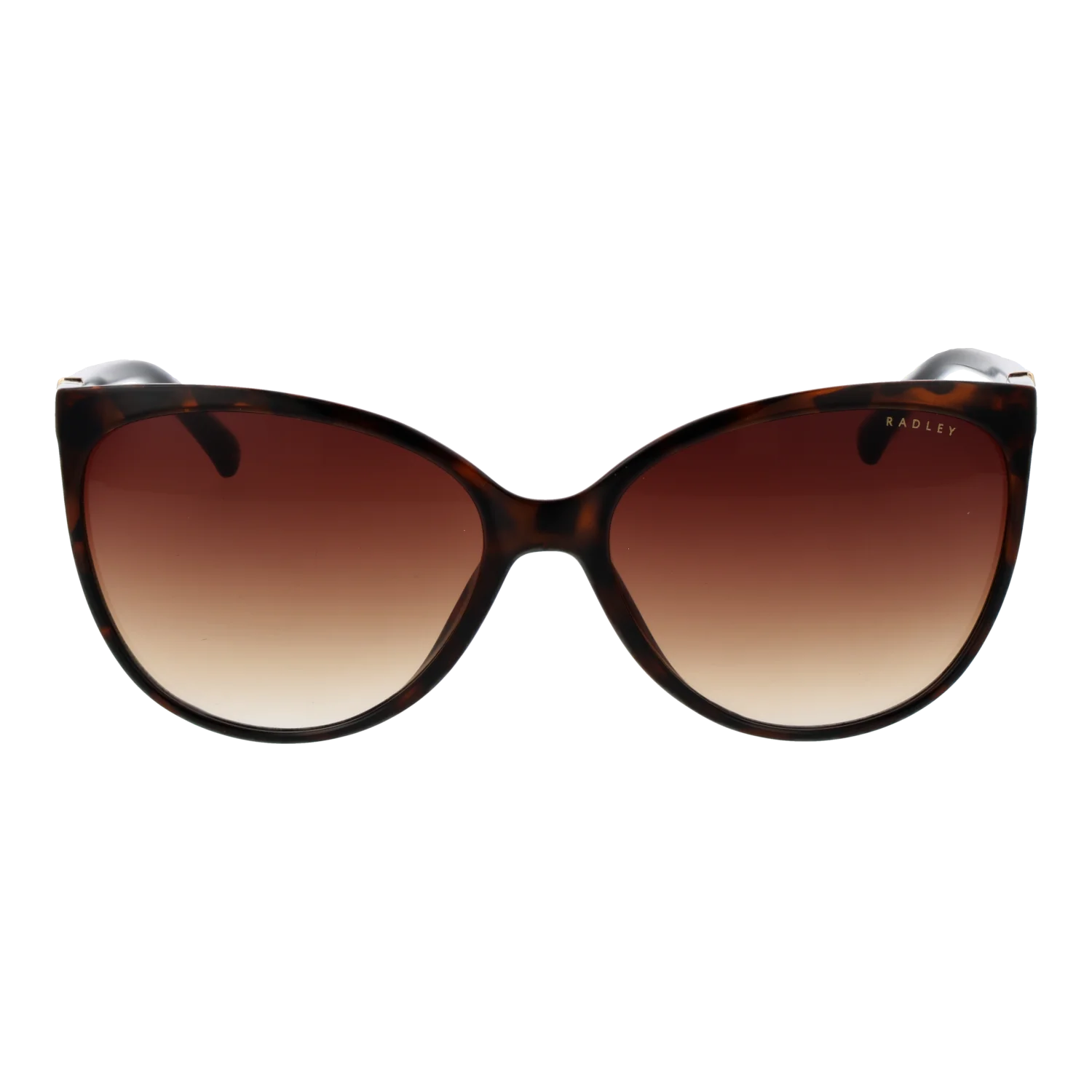 Radley Sonnenbrille RDS 6560 102 58