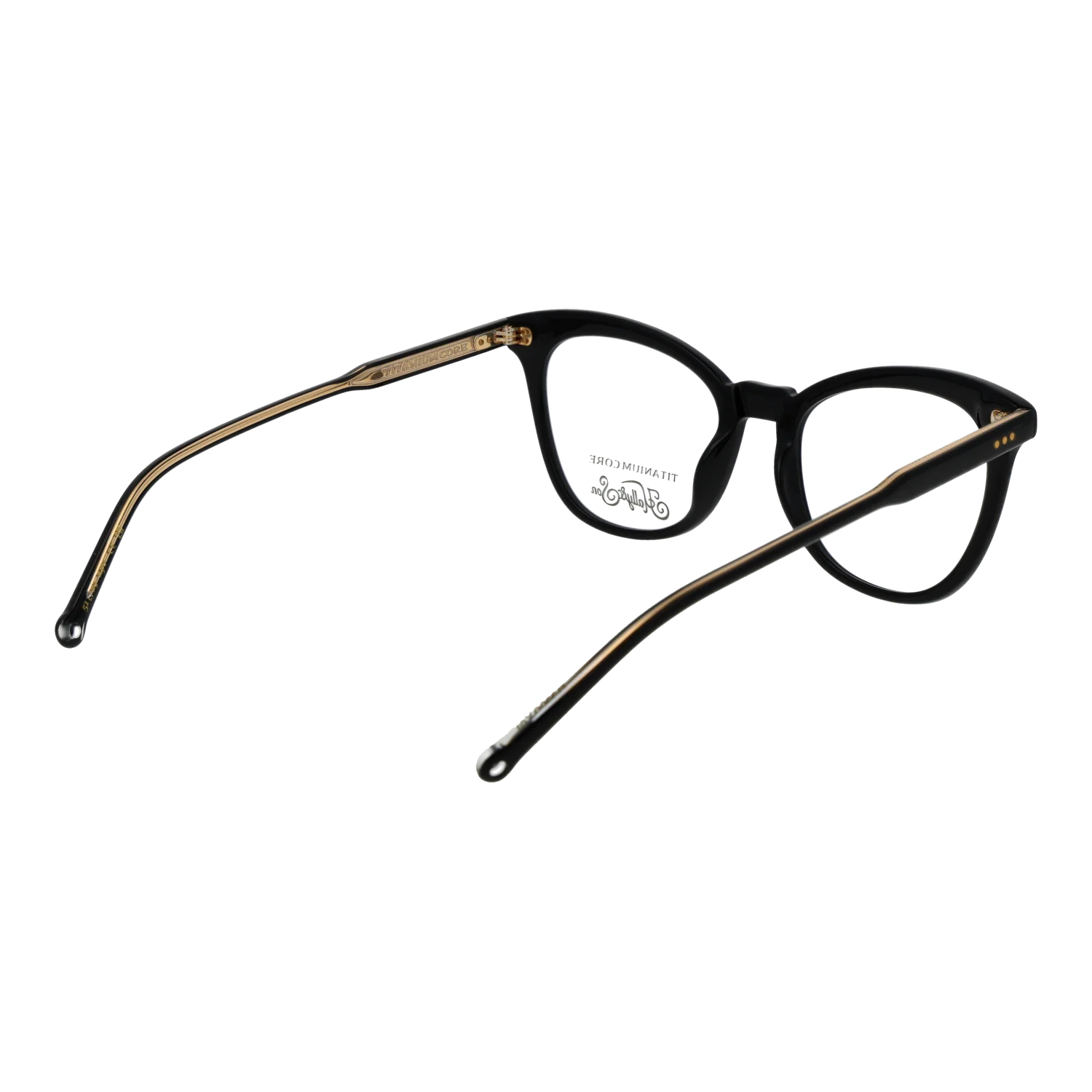 Hally & Son HS860V01 5101 – von hinten