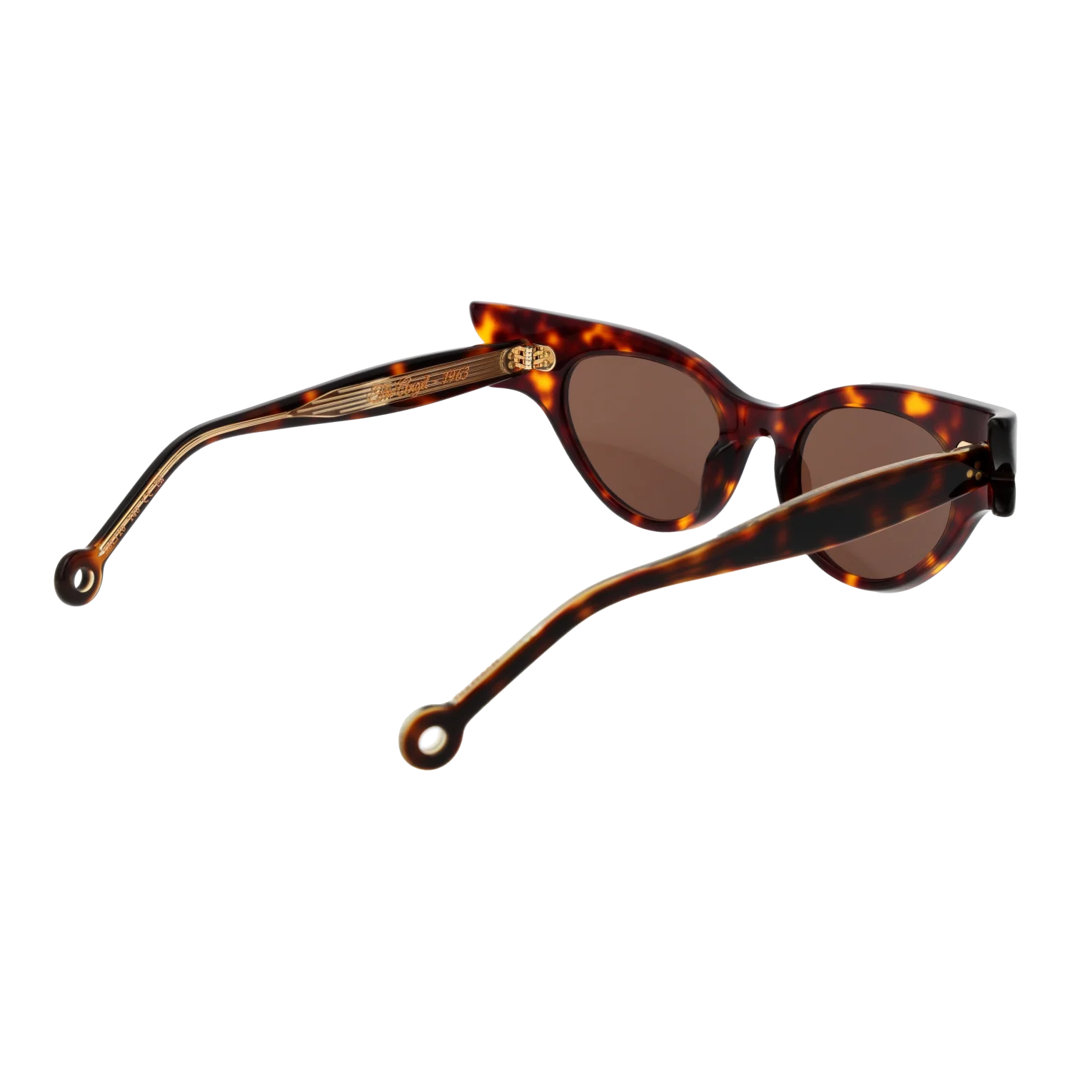 Hally & Son HS899V02S 5002S – von hinten